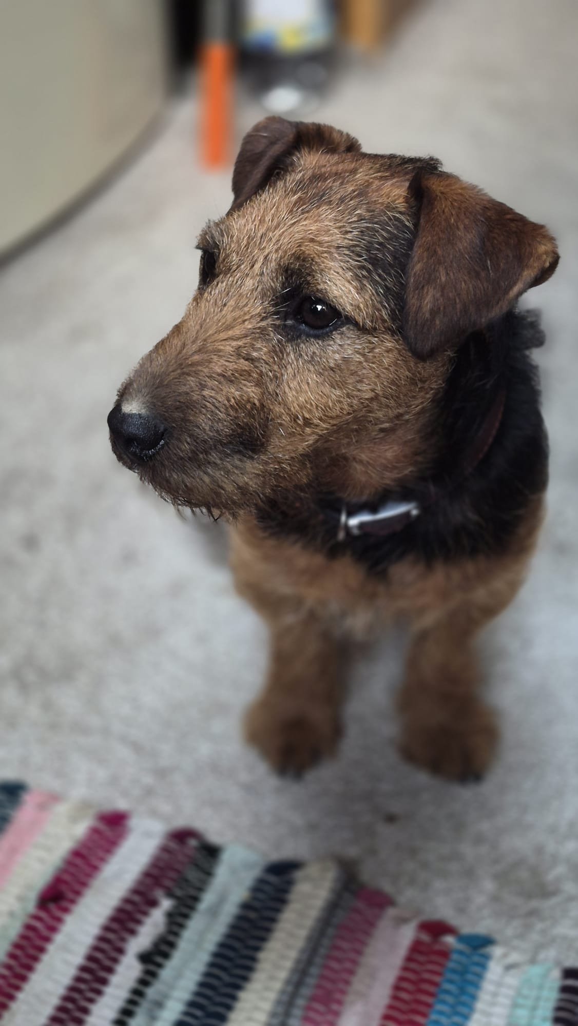 Dotty