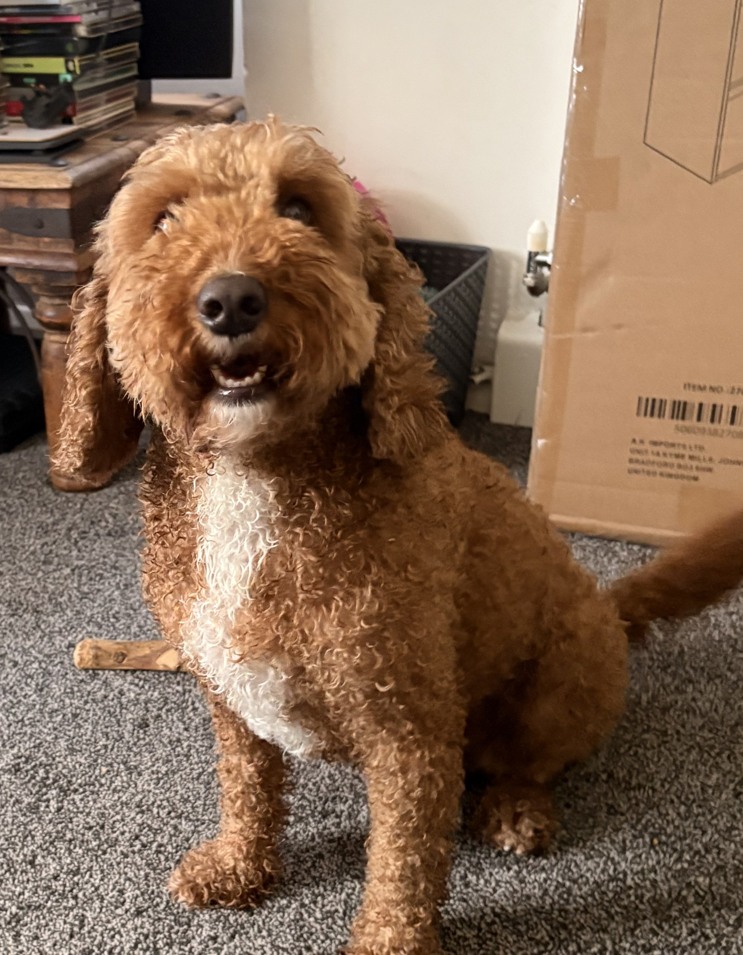 Max