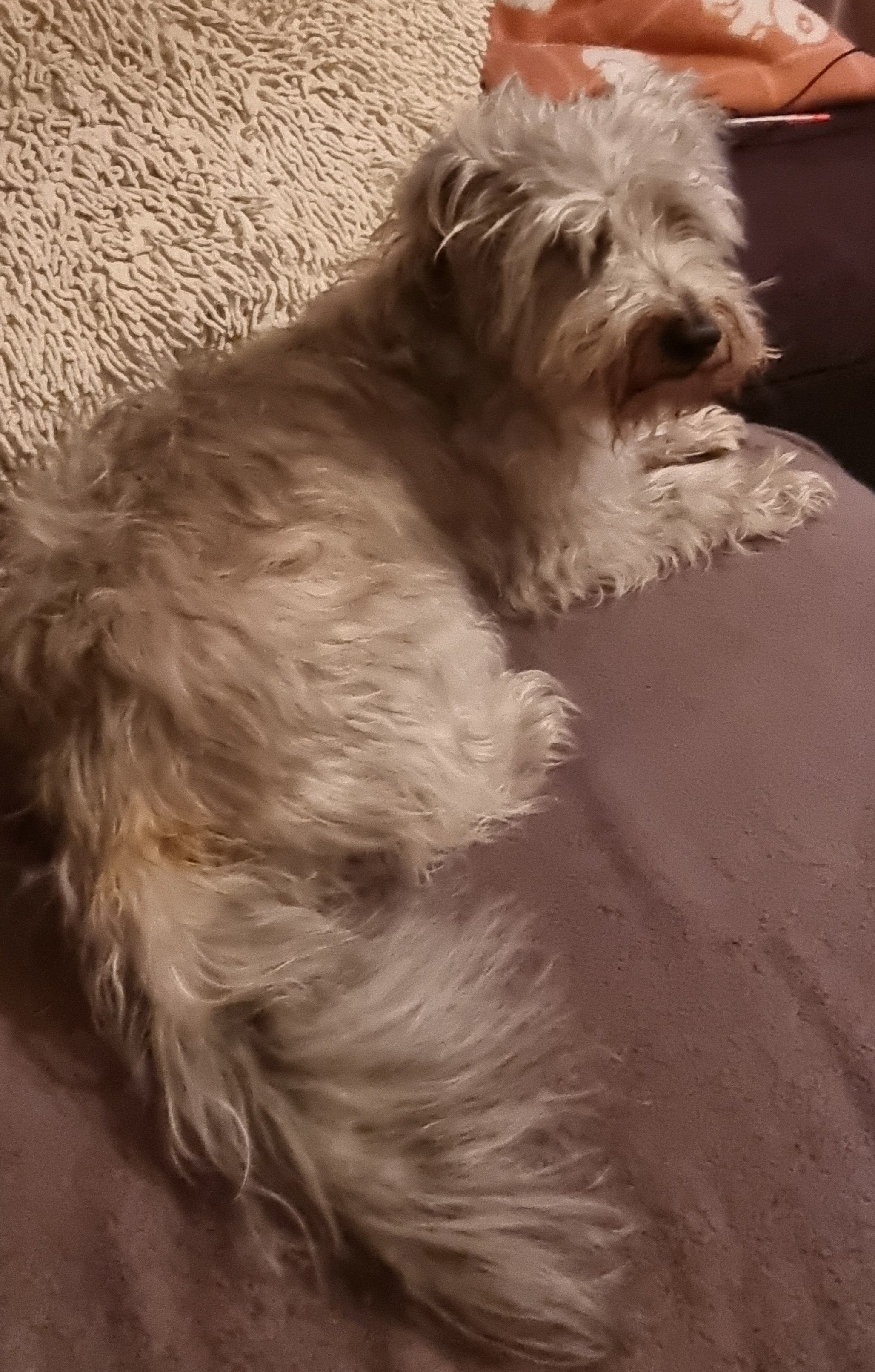 Alfie