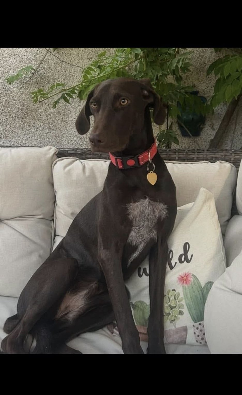 Vera