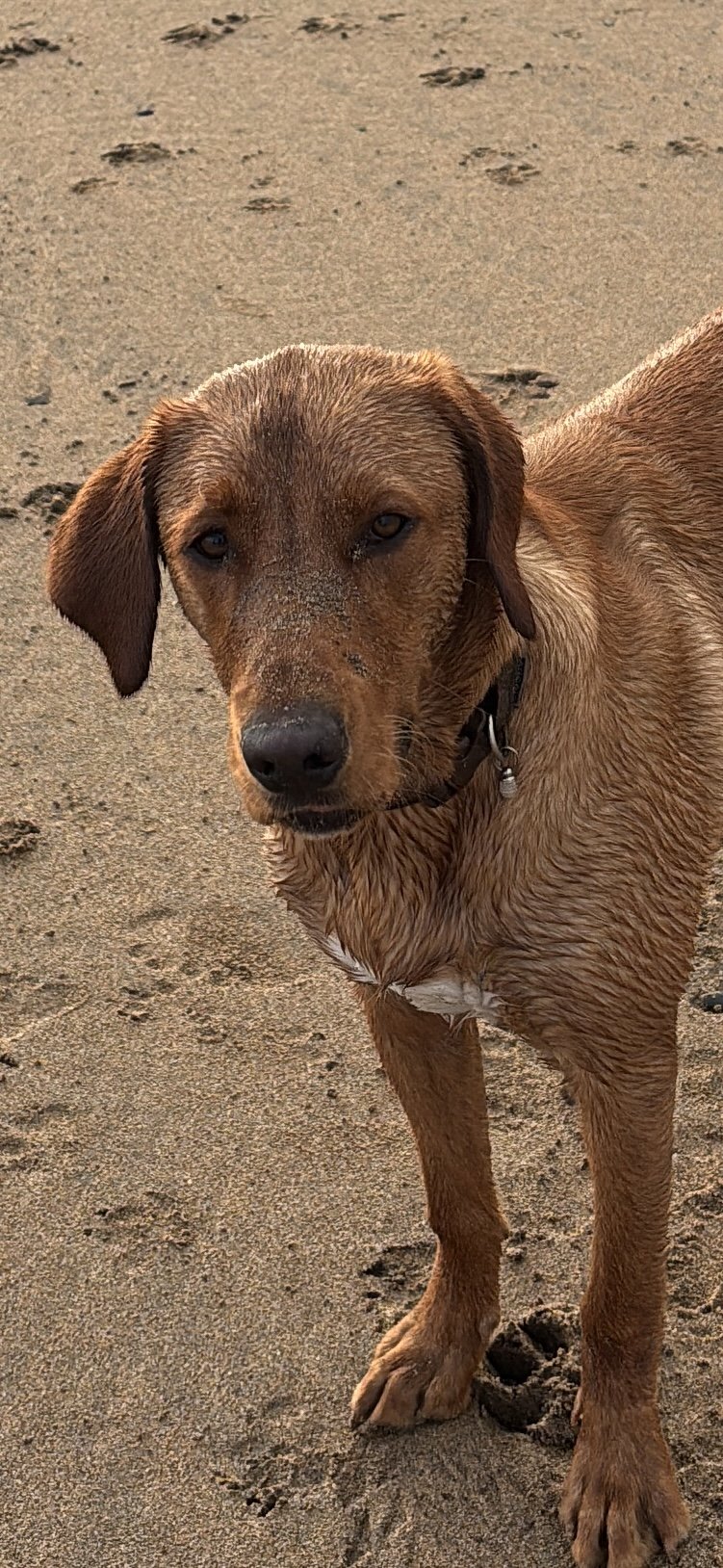 benson