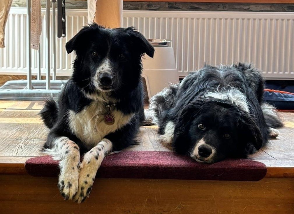 Piper and Rascal