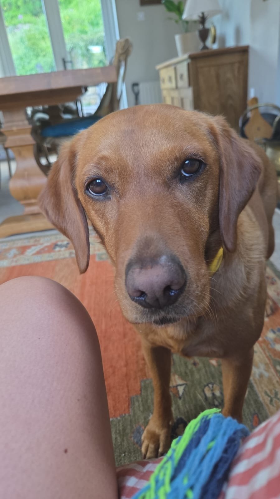 Honey