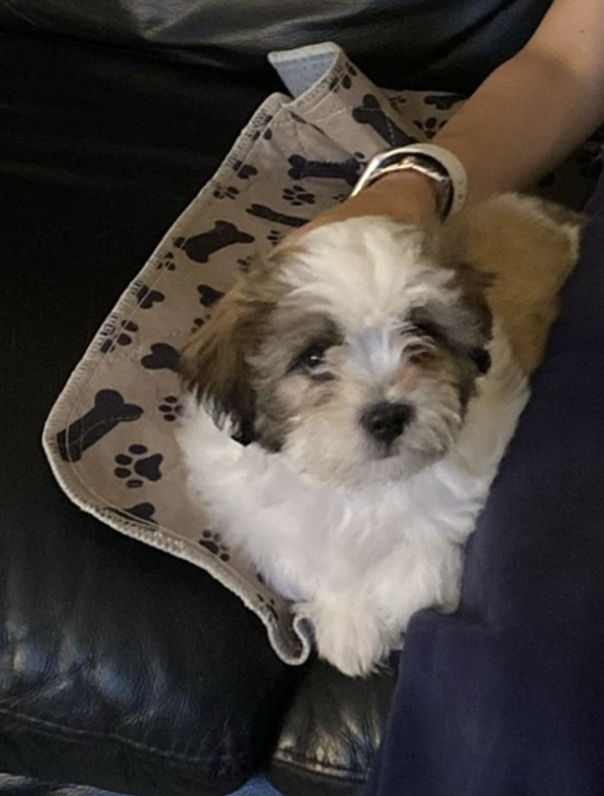 Tilly