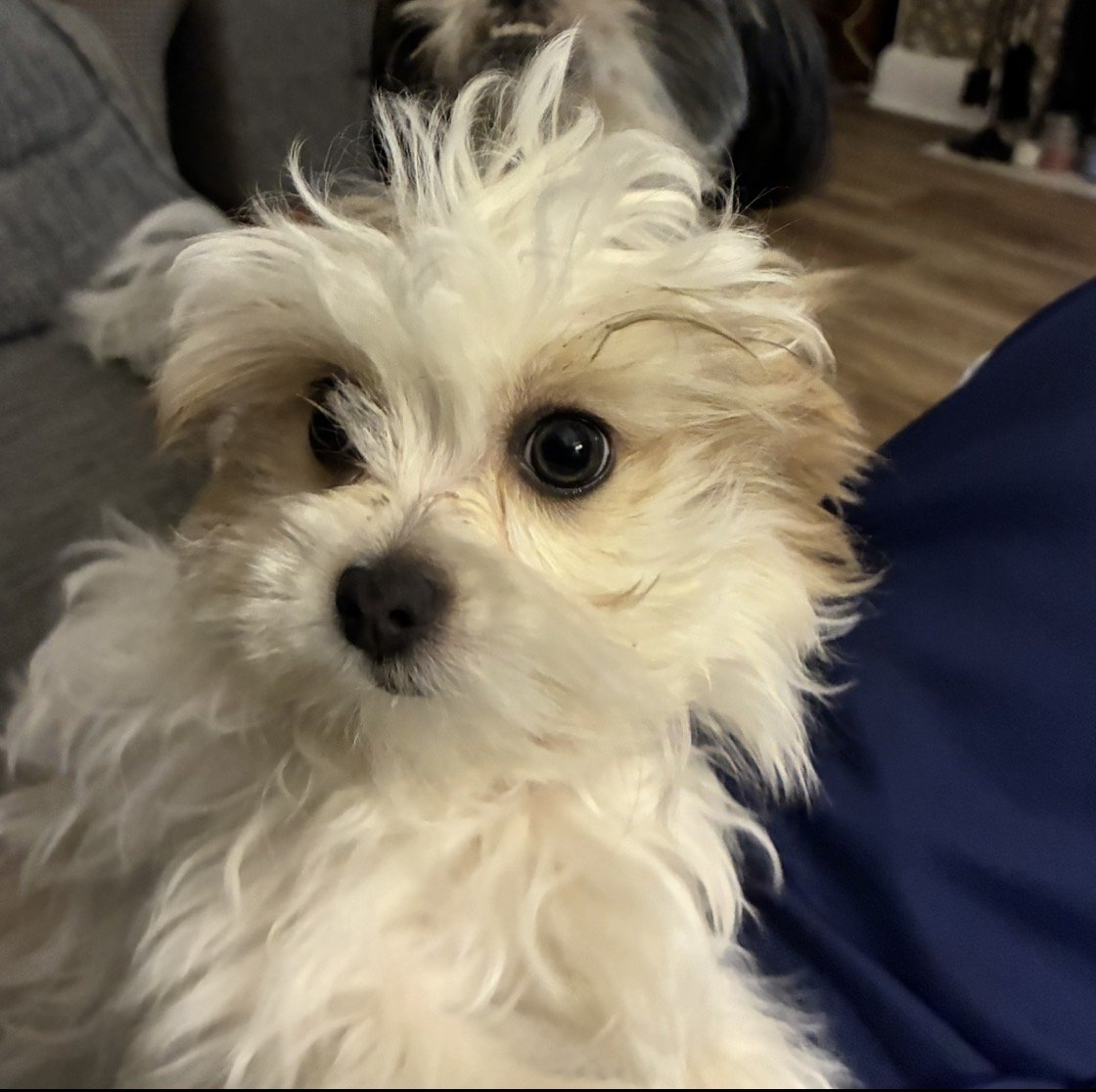 Rosie