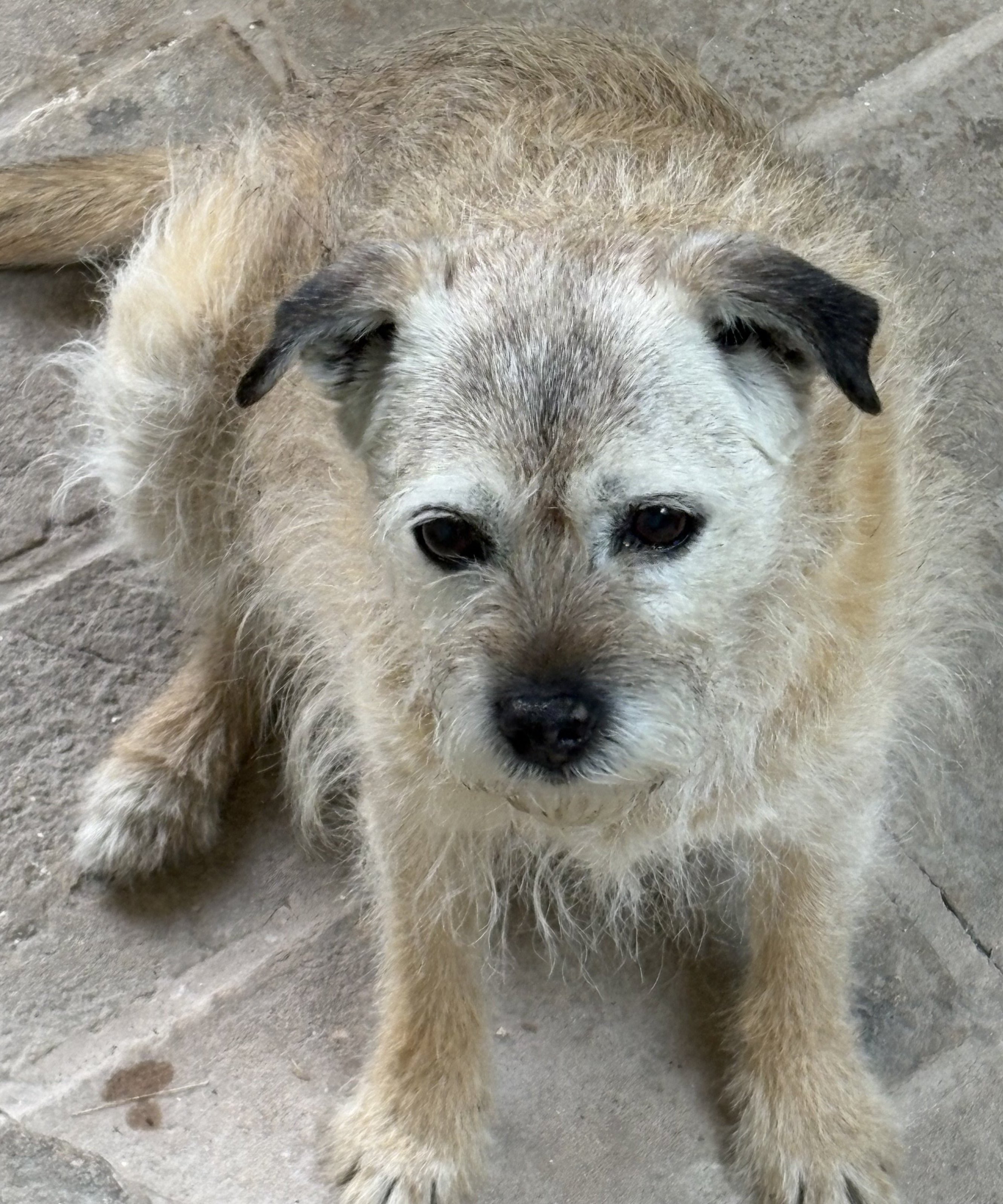 Smidge