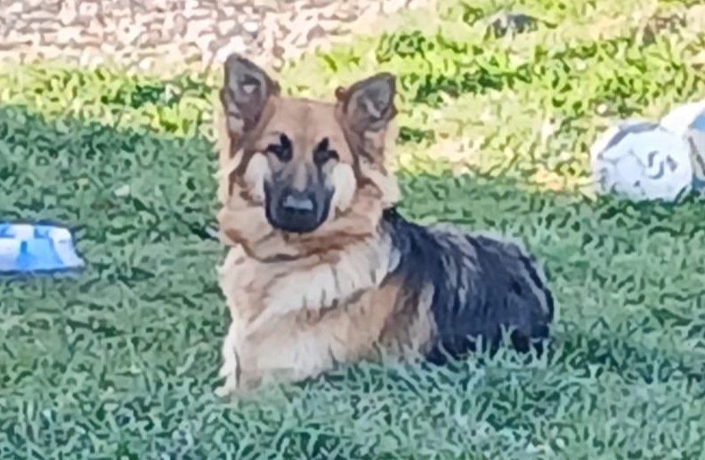 Roxy