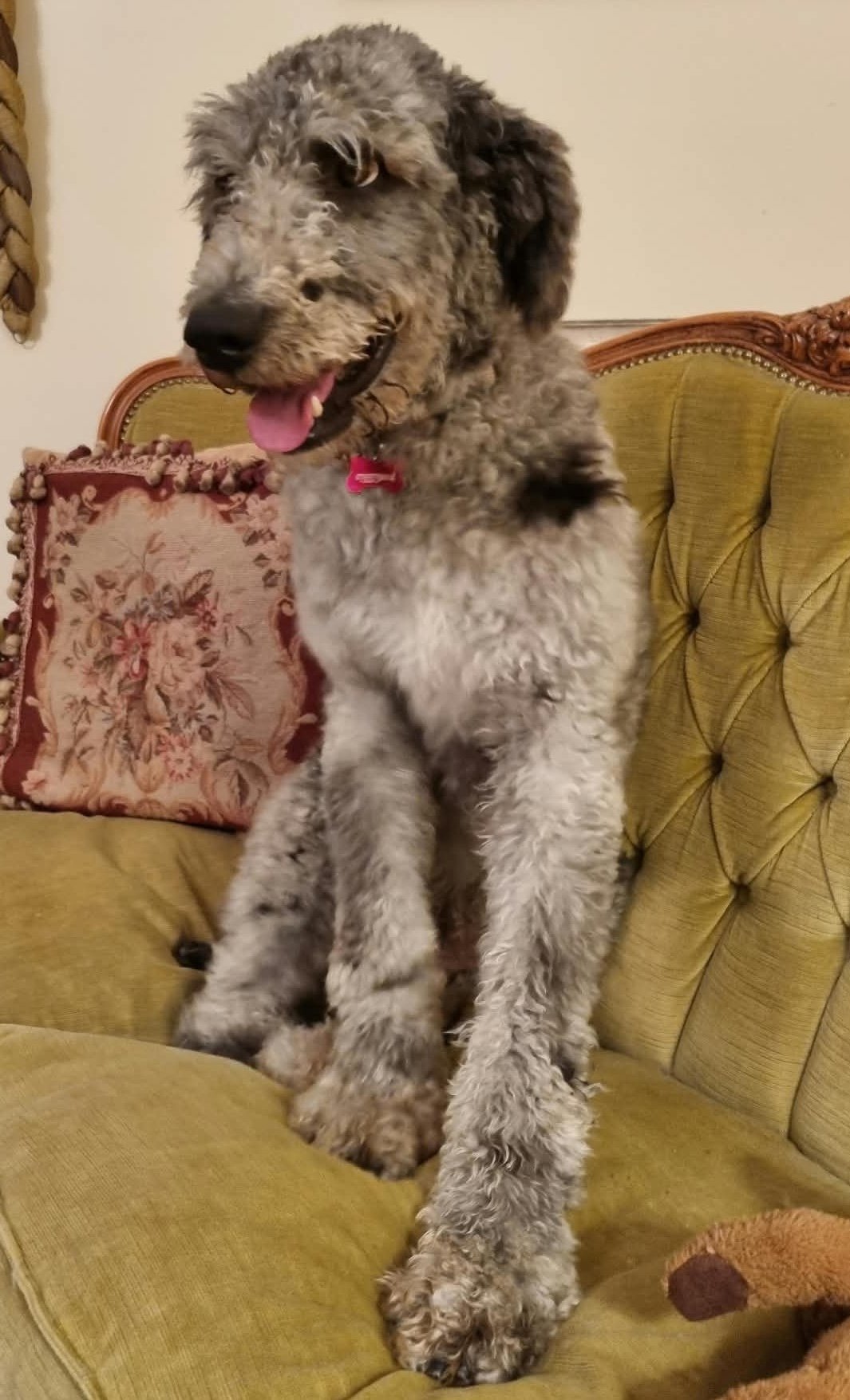 Hugo