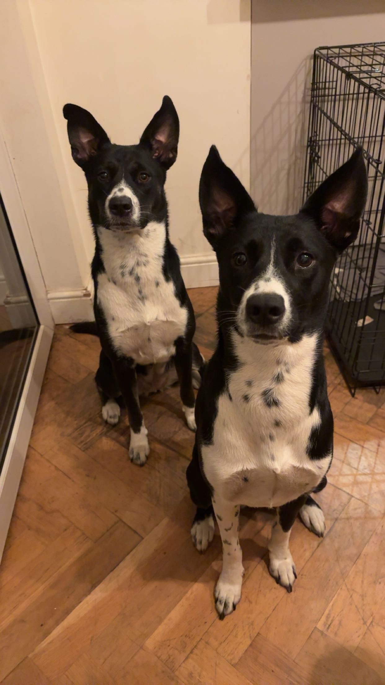 Dotty + Tilly