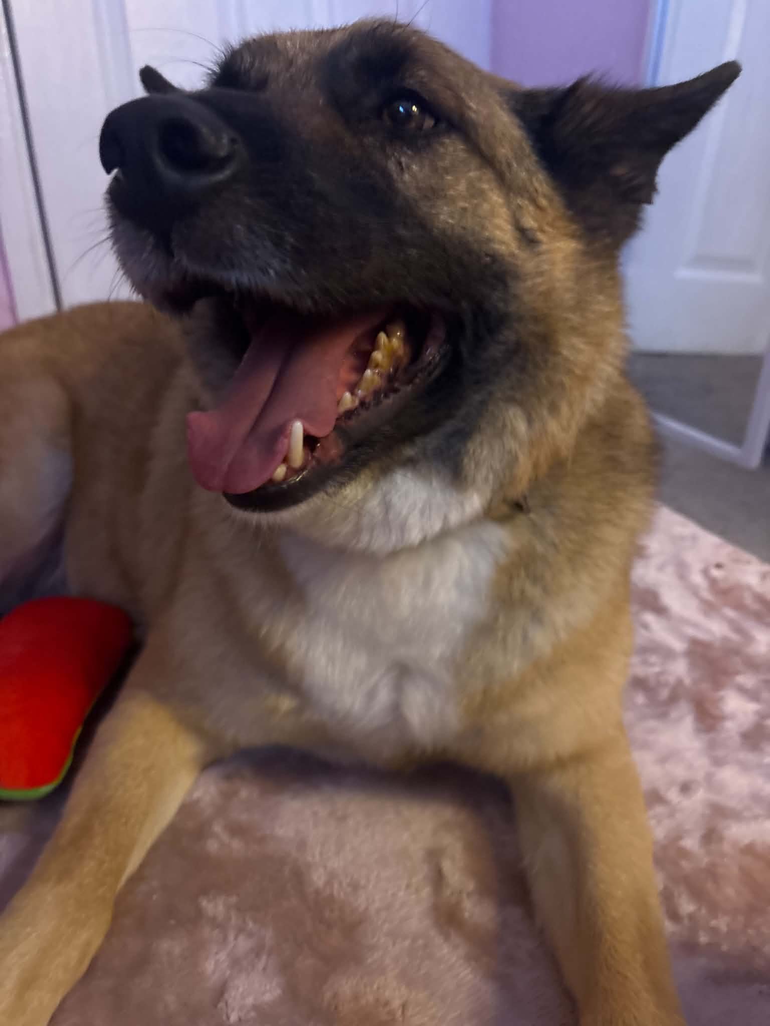Odin