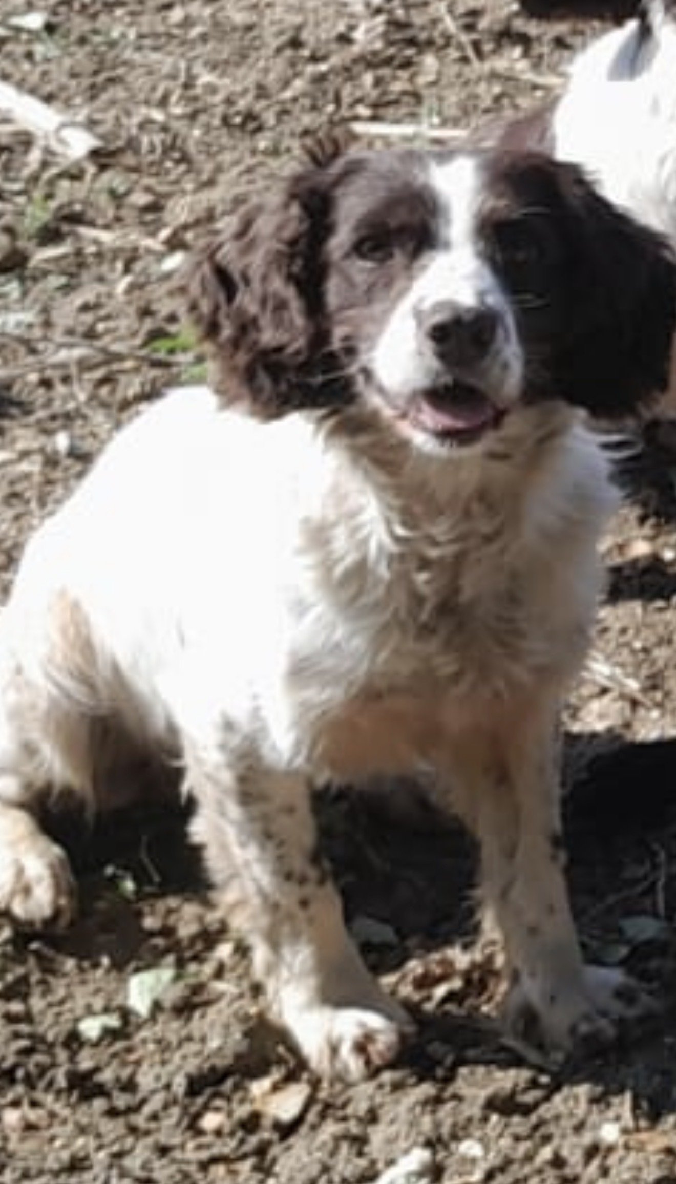 Sam