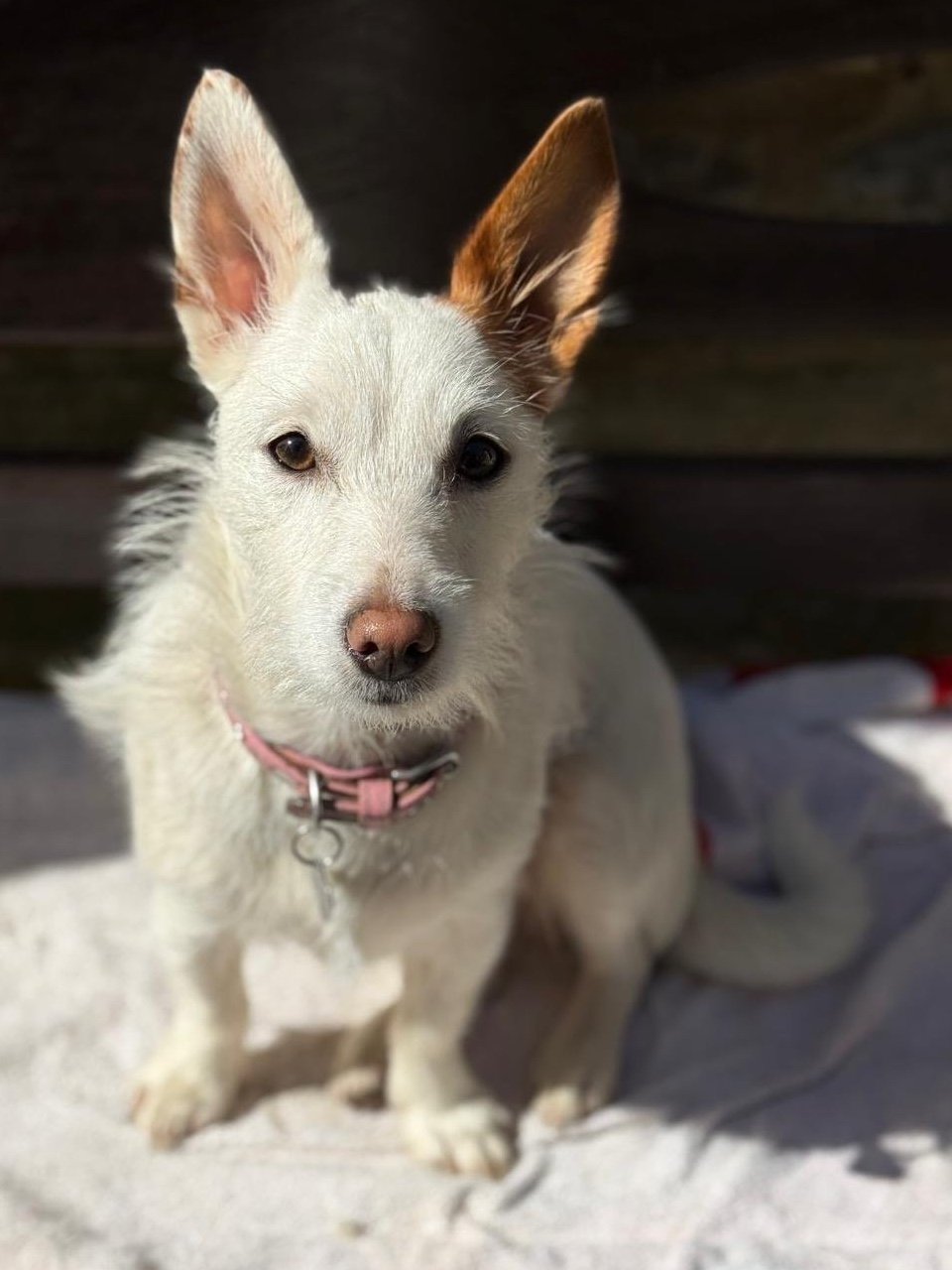 Coco