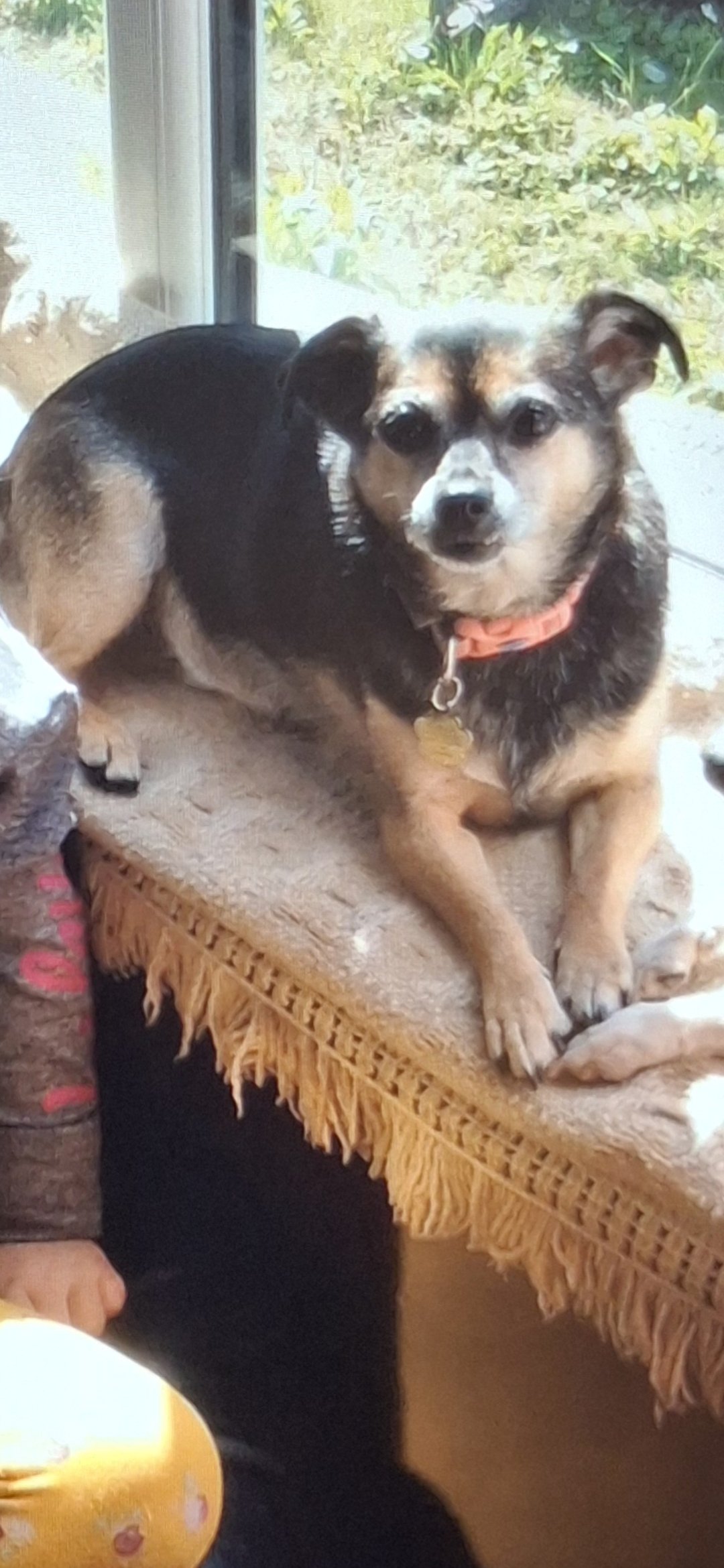 Roxie