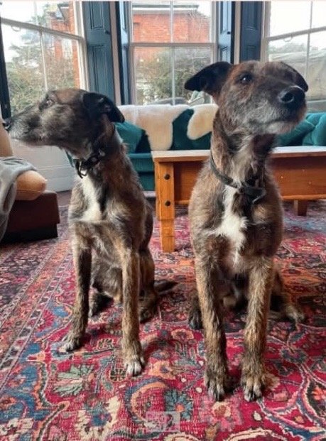 Basil & Butler