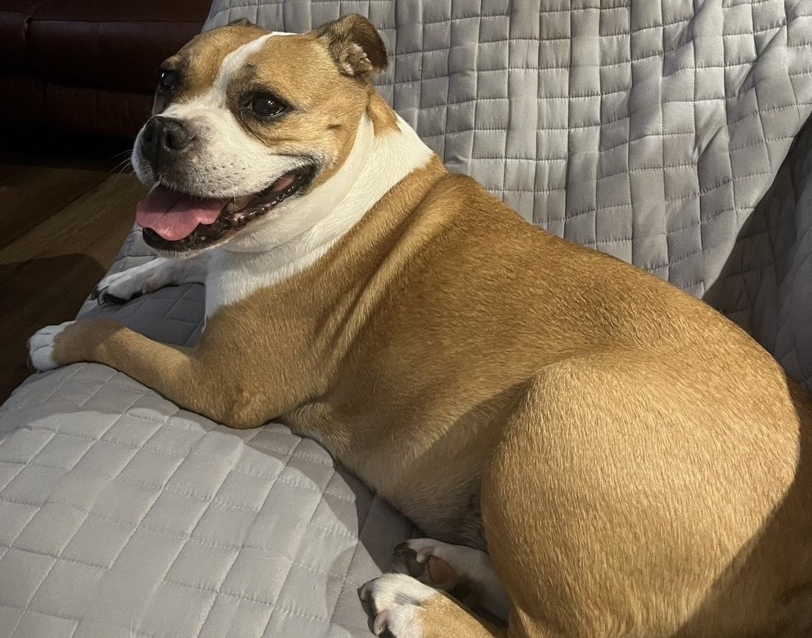 Snoop
