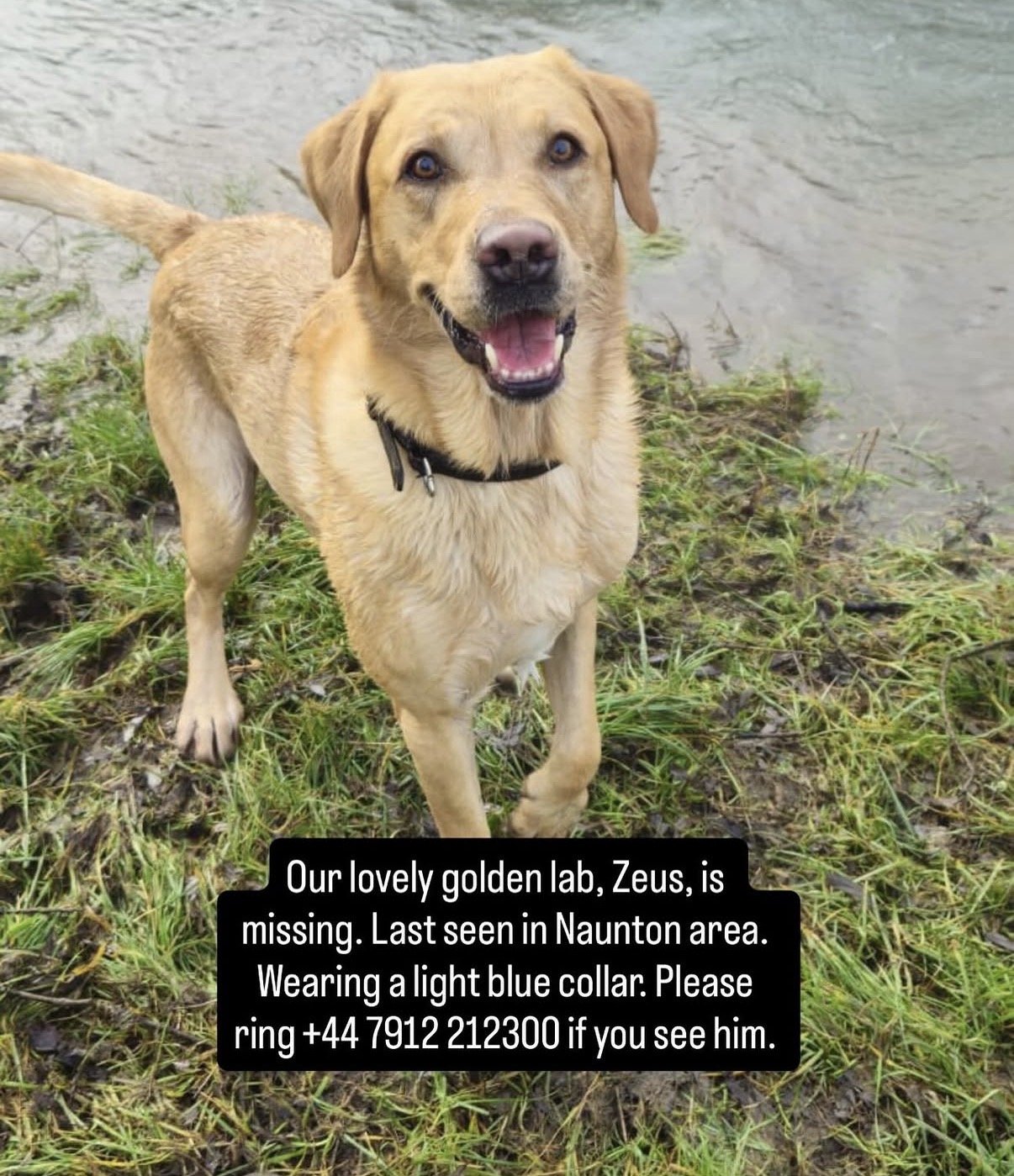 Zeus