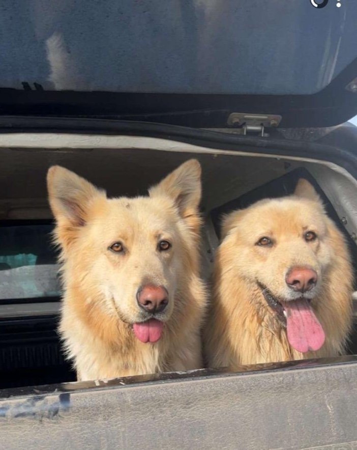 Max and Paddy