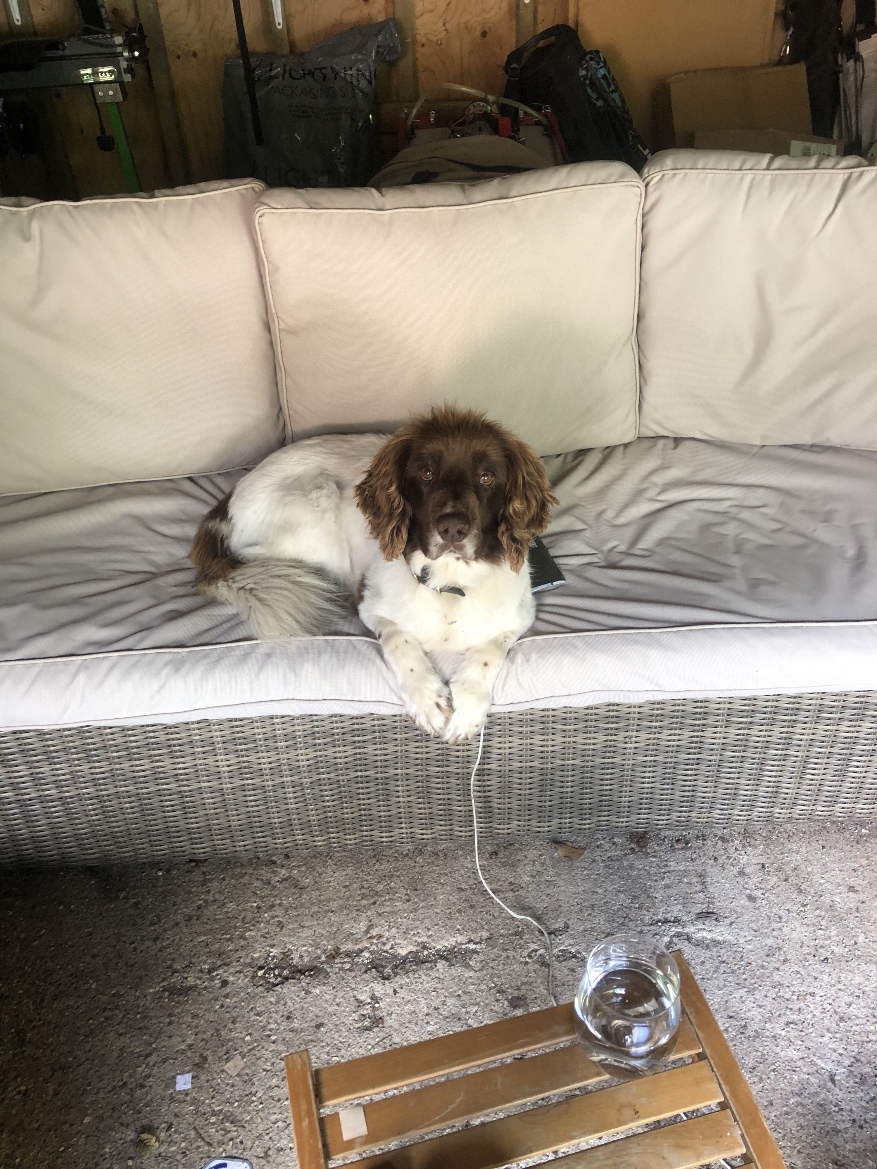 Max