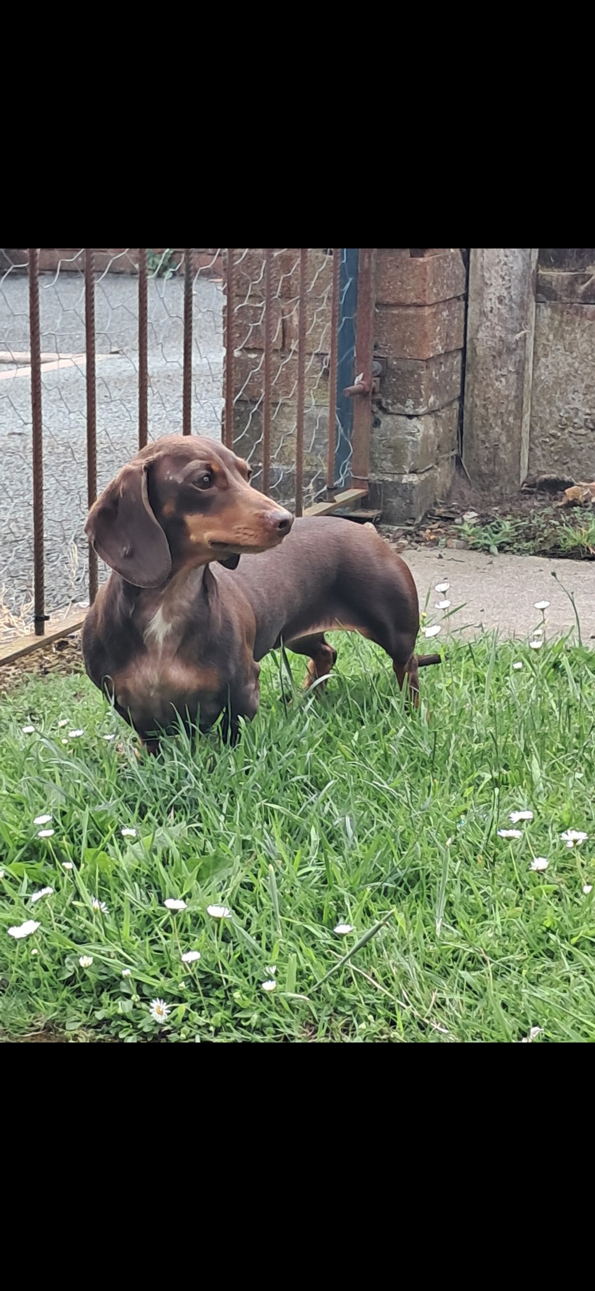 Bonnie