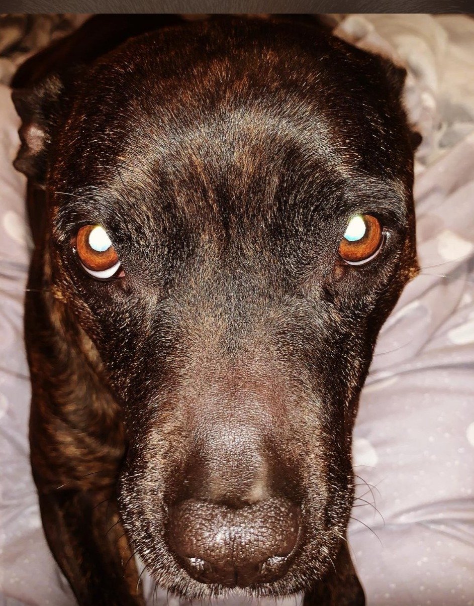 Roxy