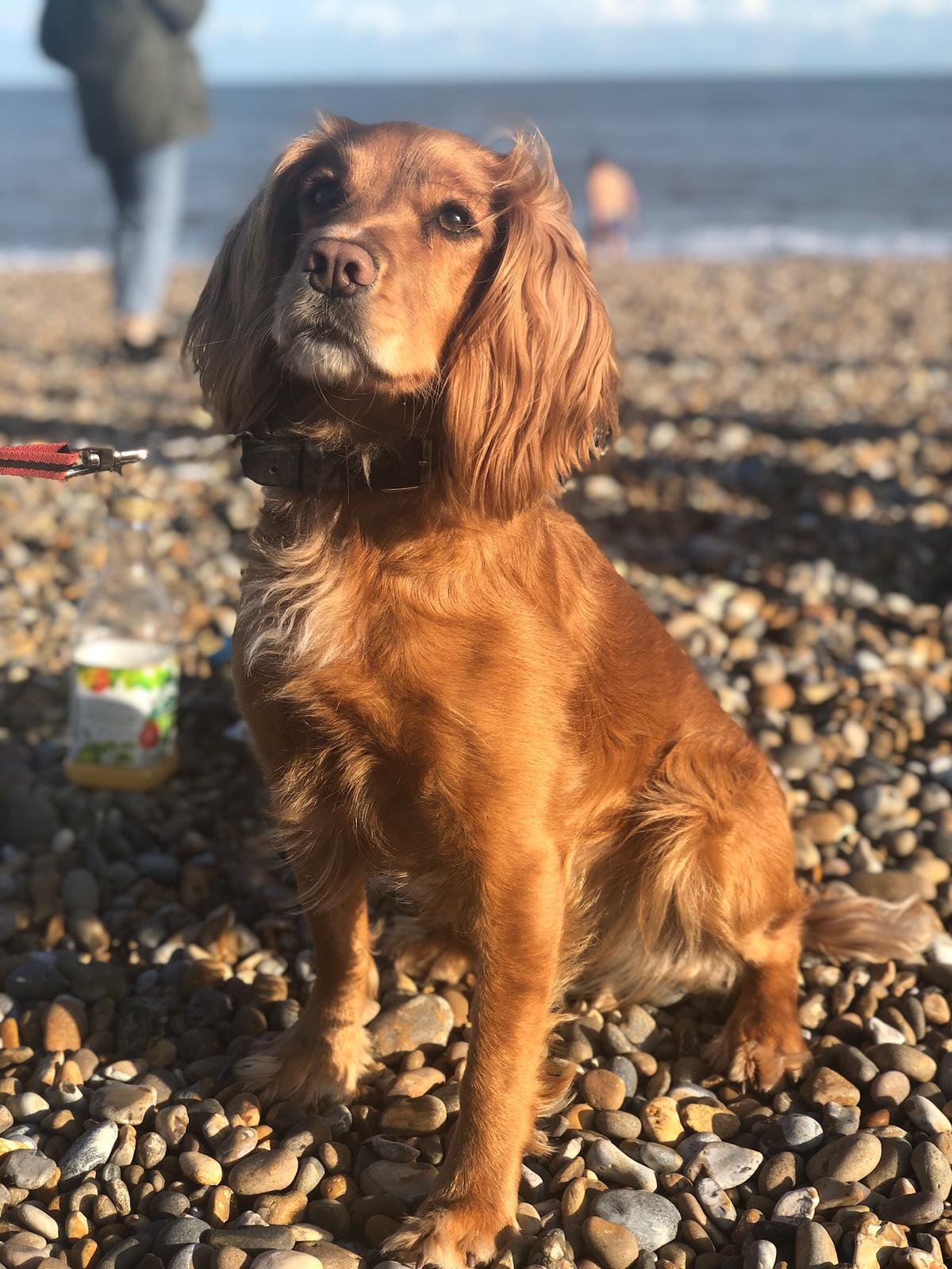 Winnie