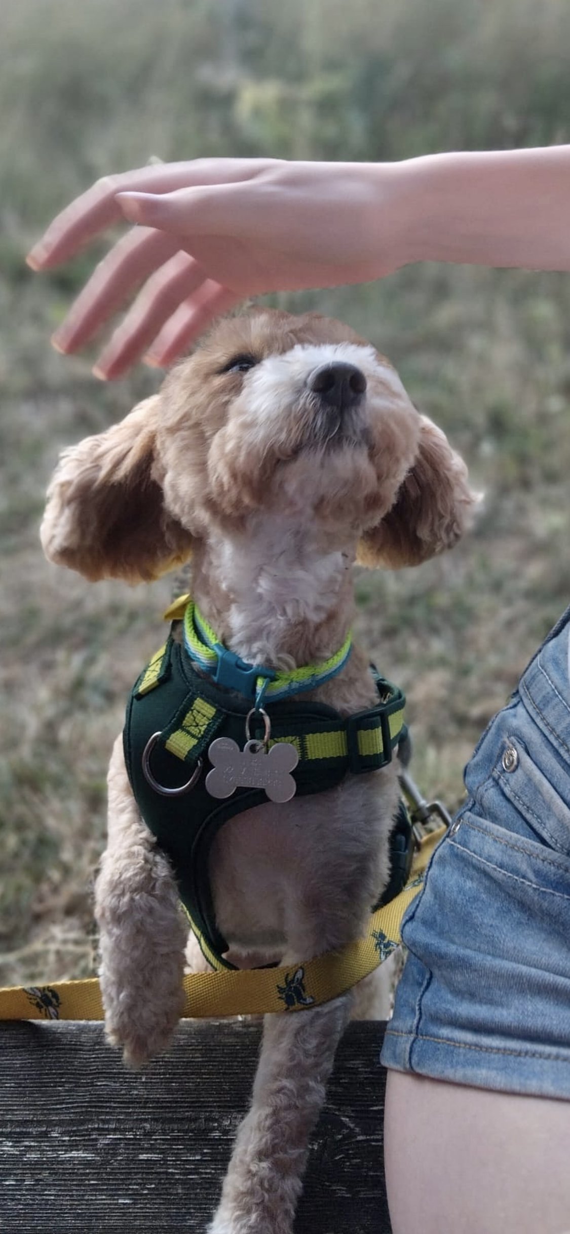 Lucie