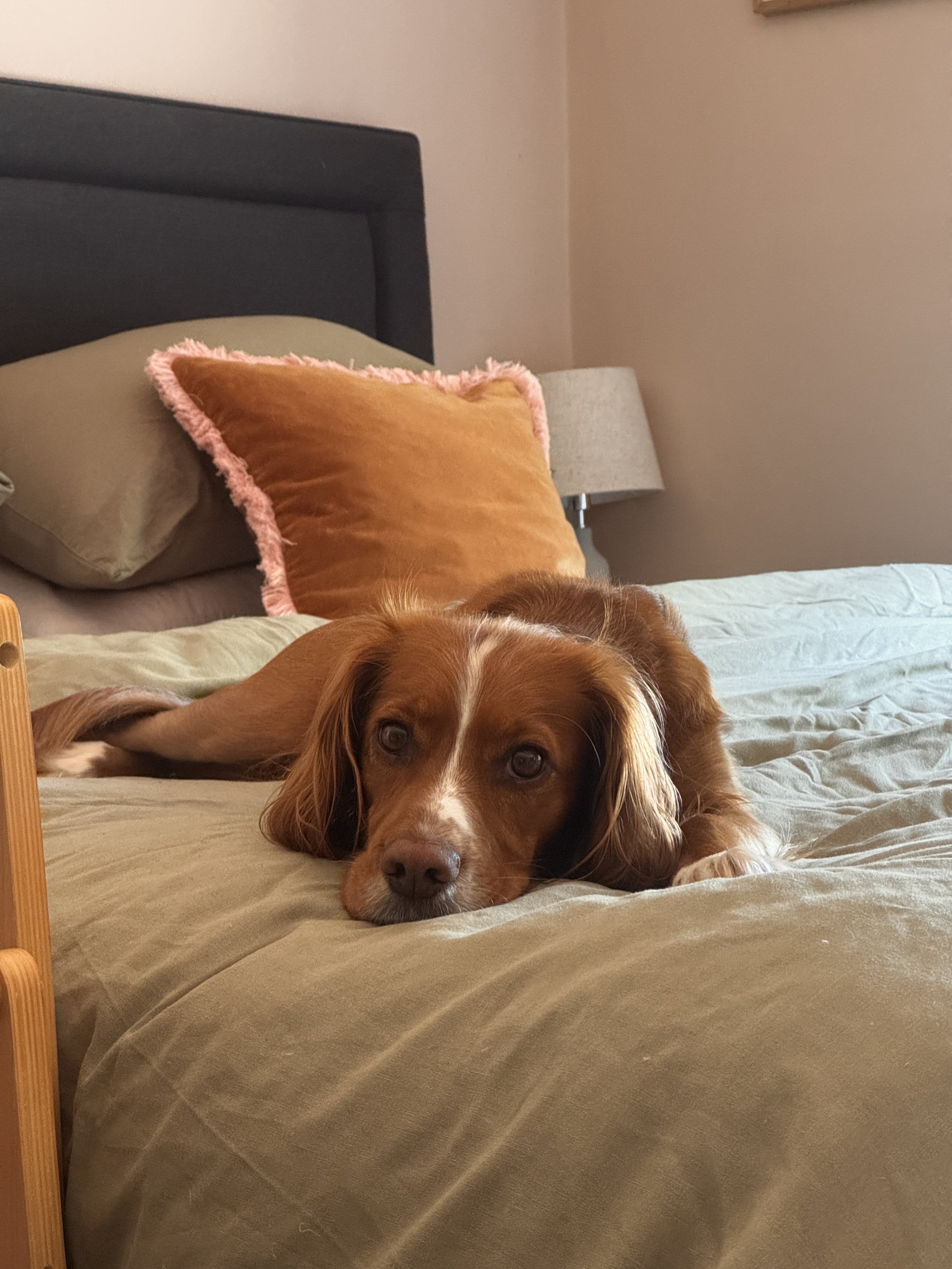 Winnie