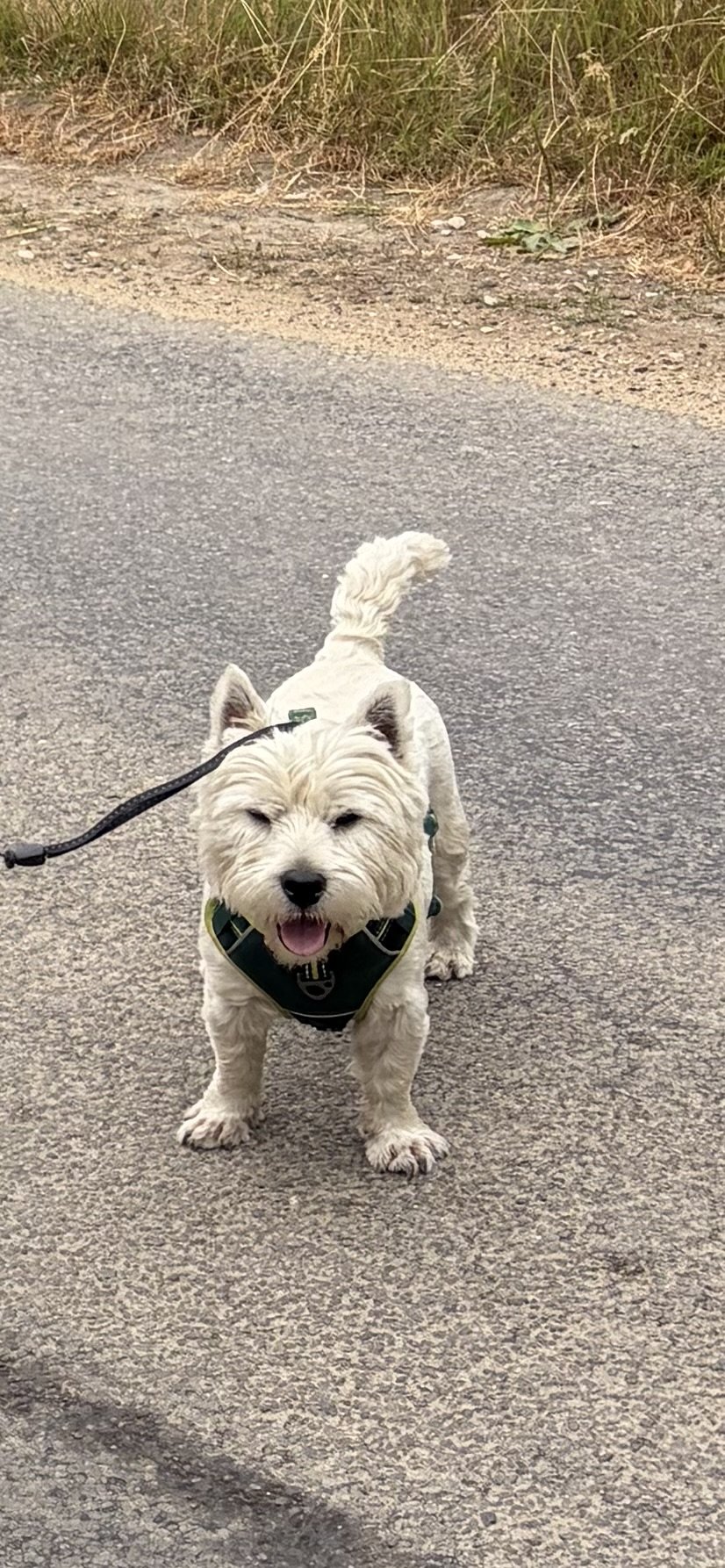Ernie
