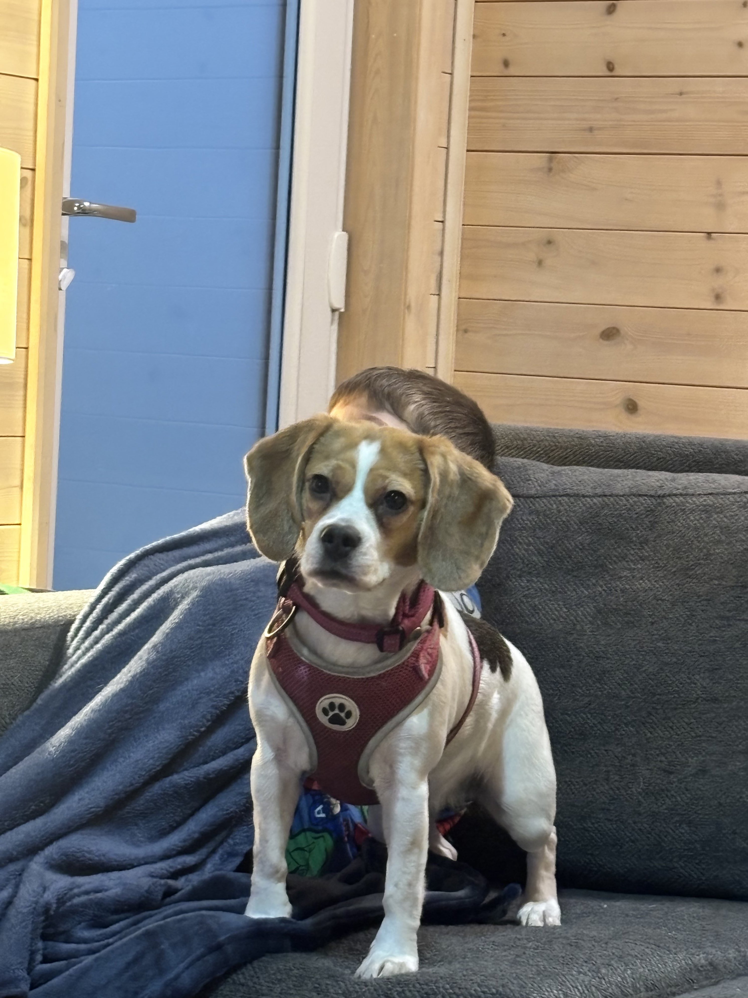 Tallulah