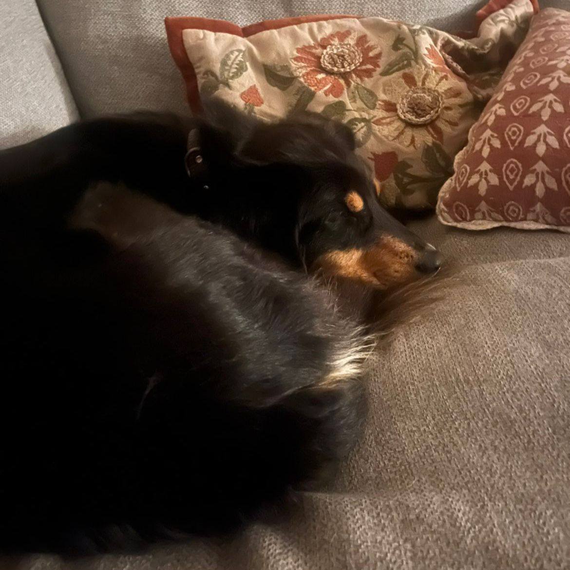 Cooper