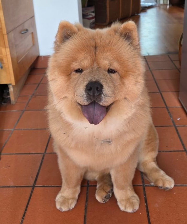 Narla