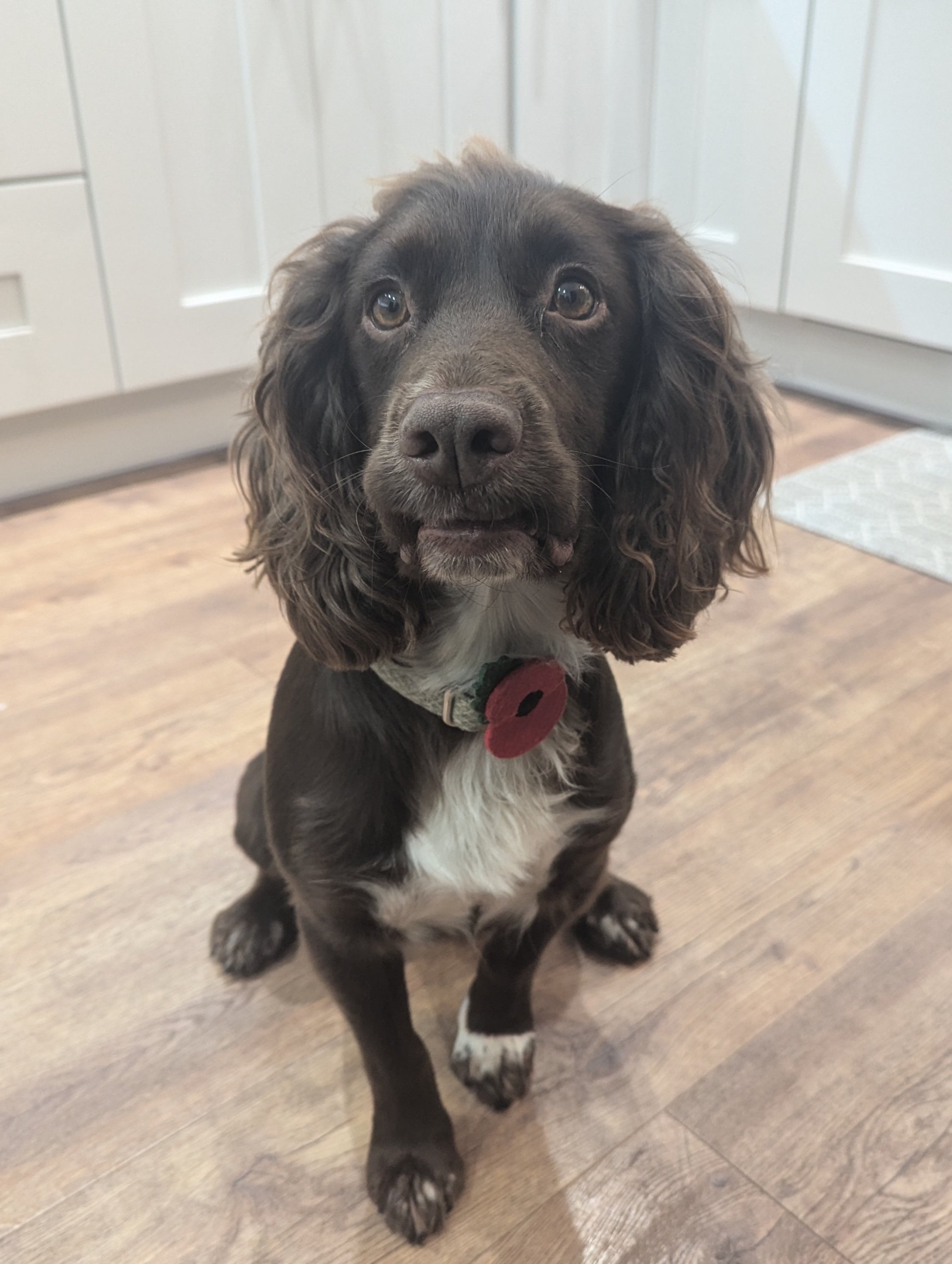 Monty