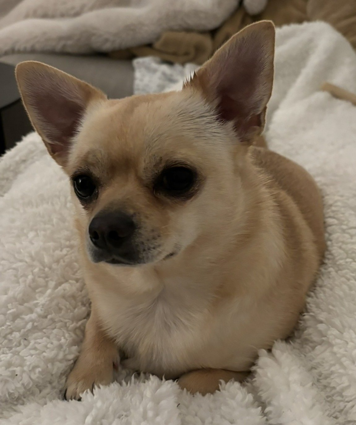 Baxter