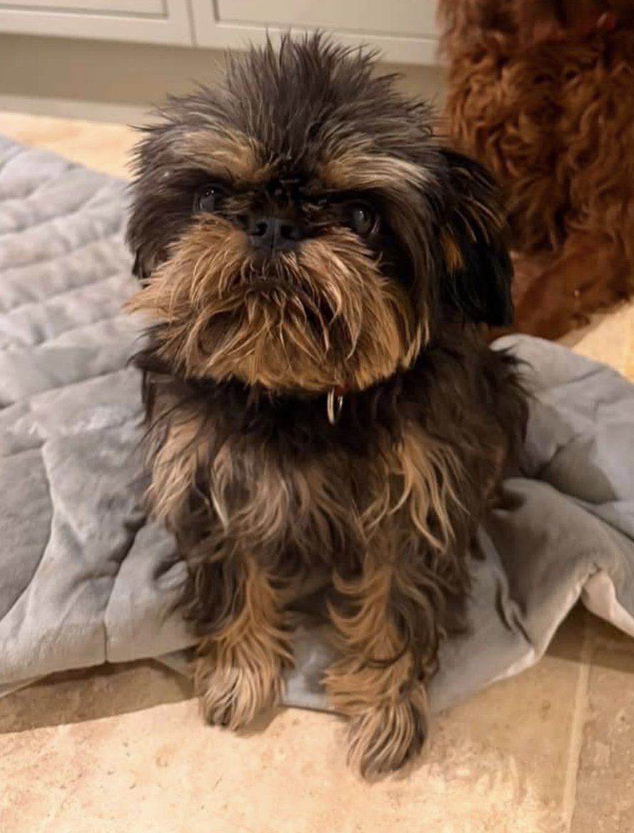 Rosie