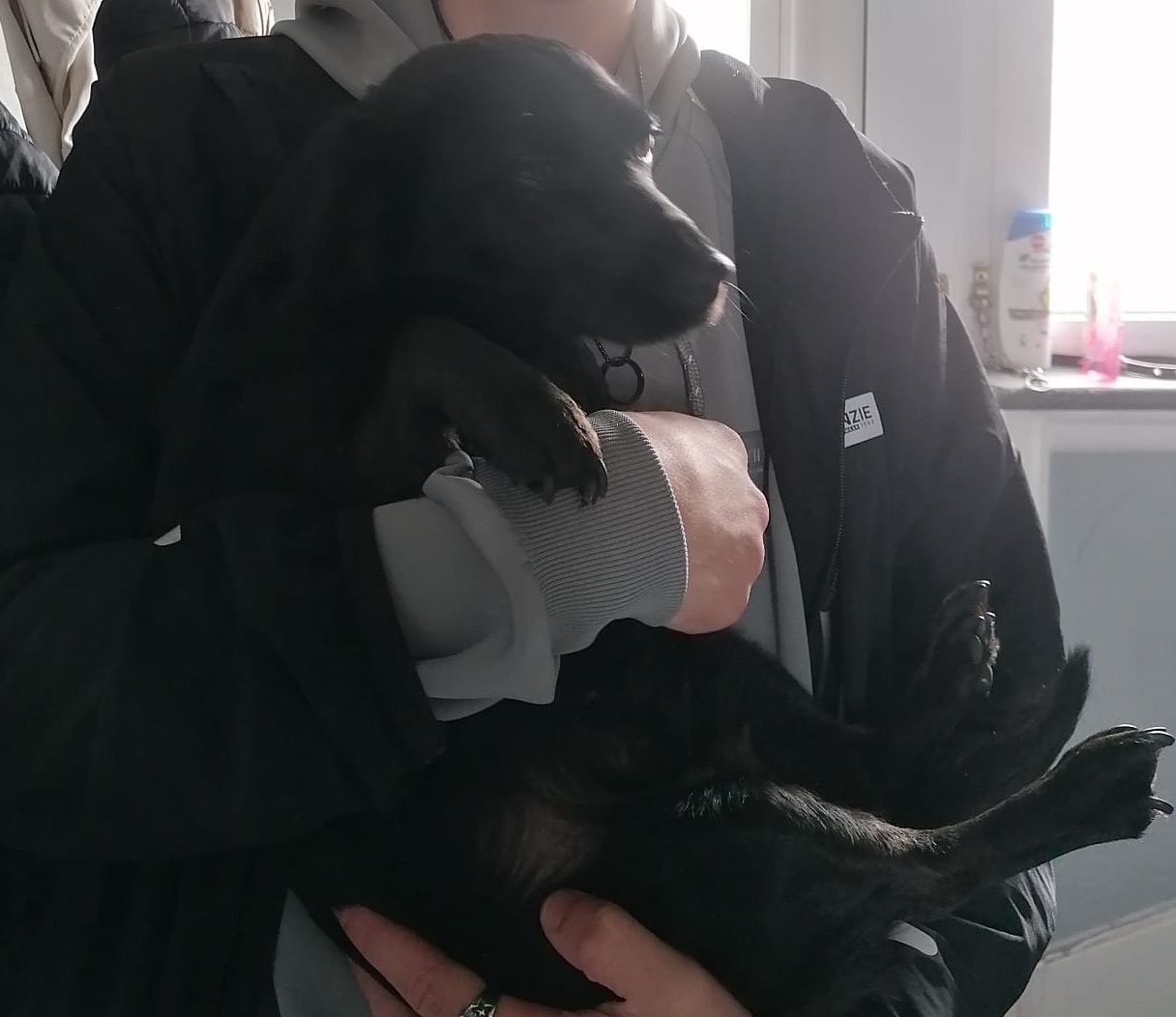 Milo