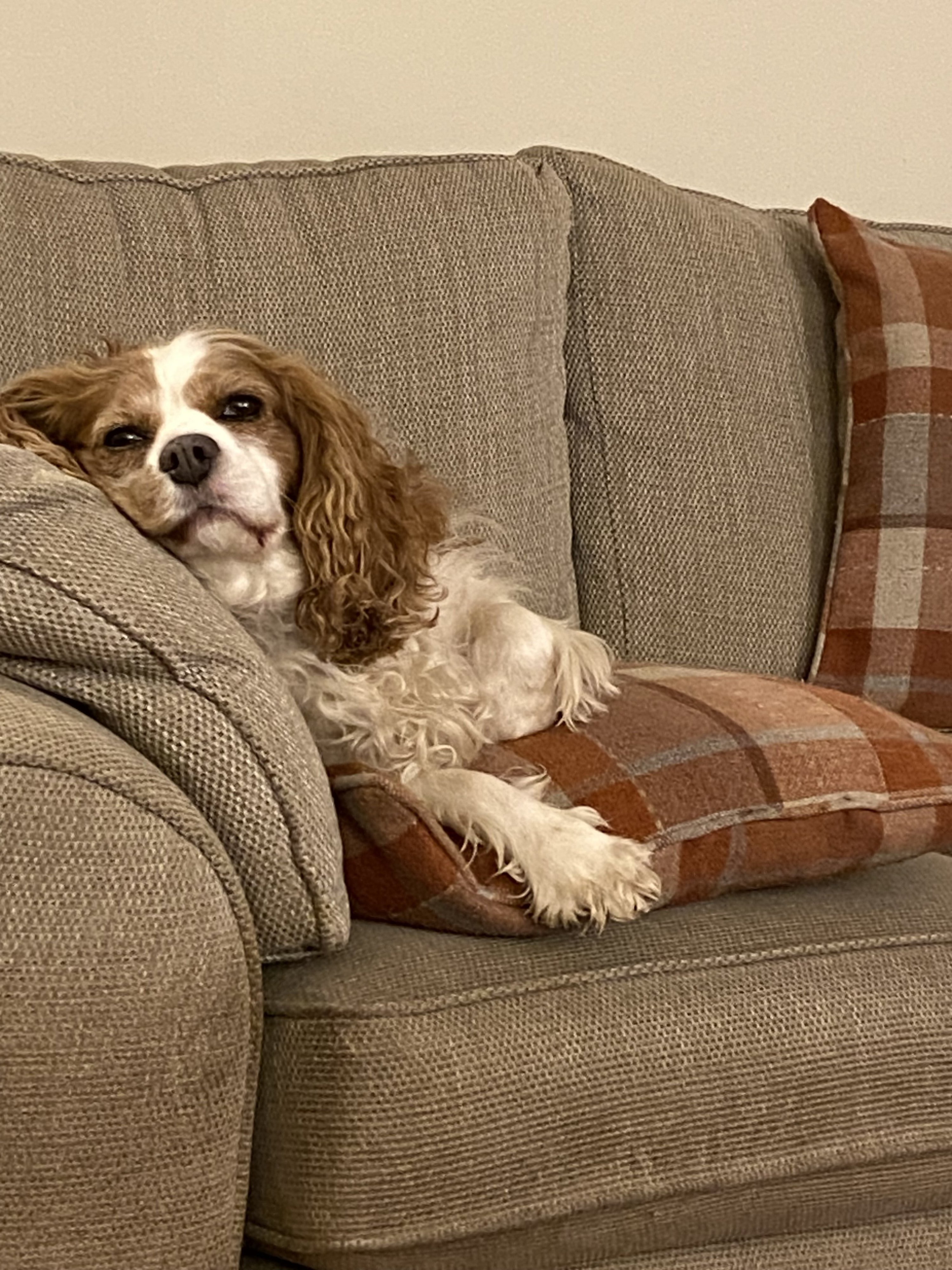 Monty