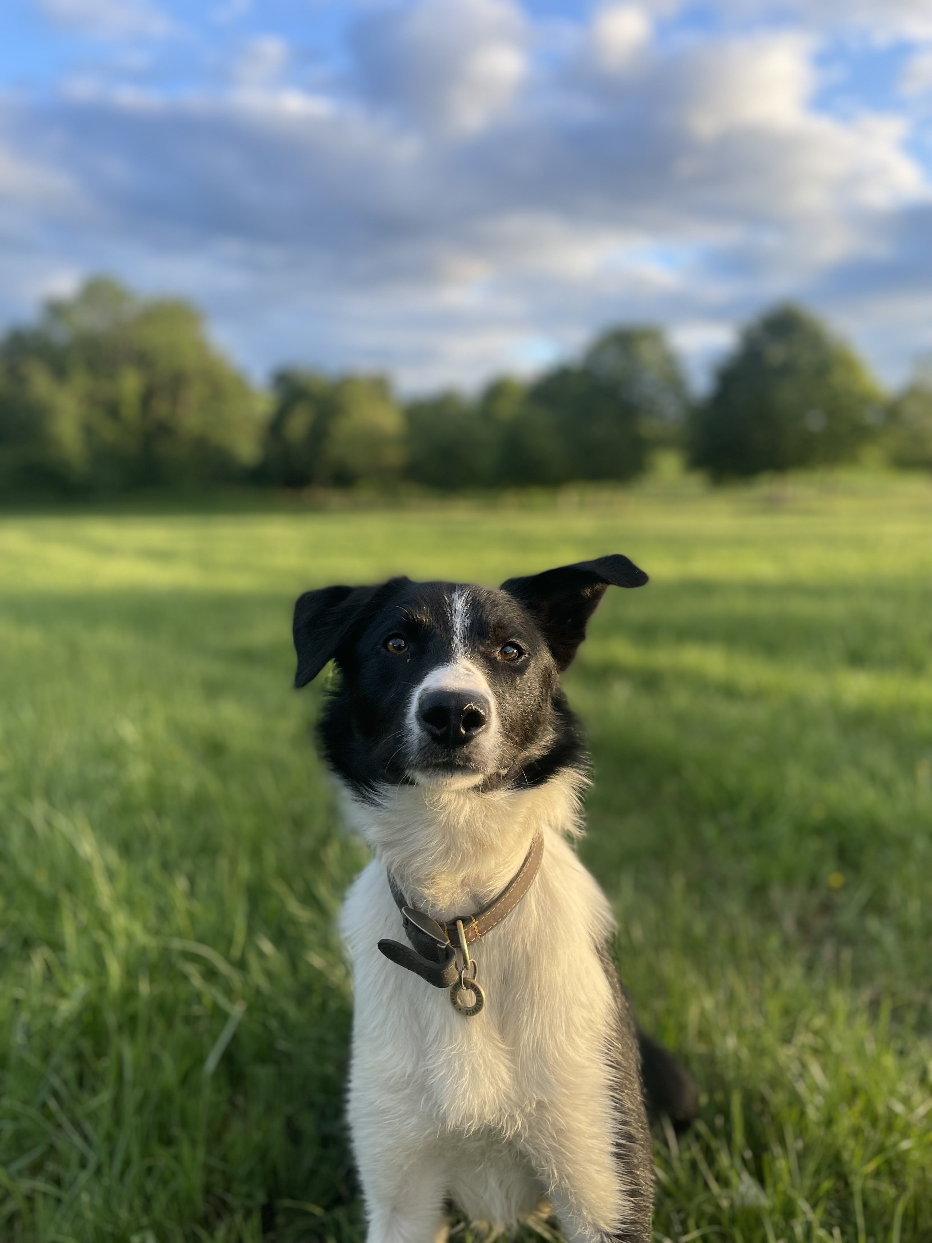 Sam