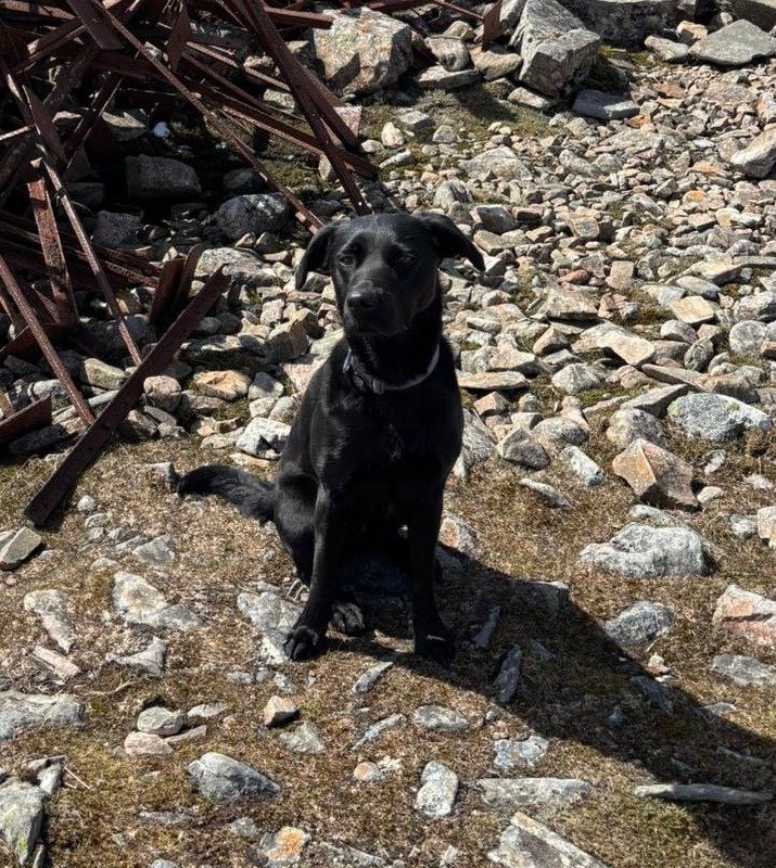 Bonnie