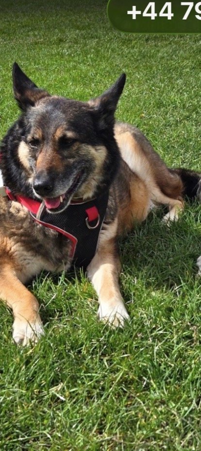 Lucy