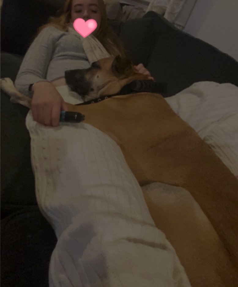 scooby