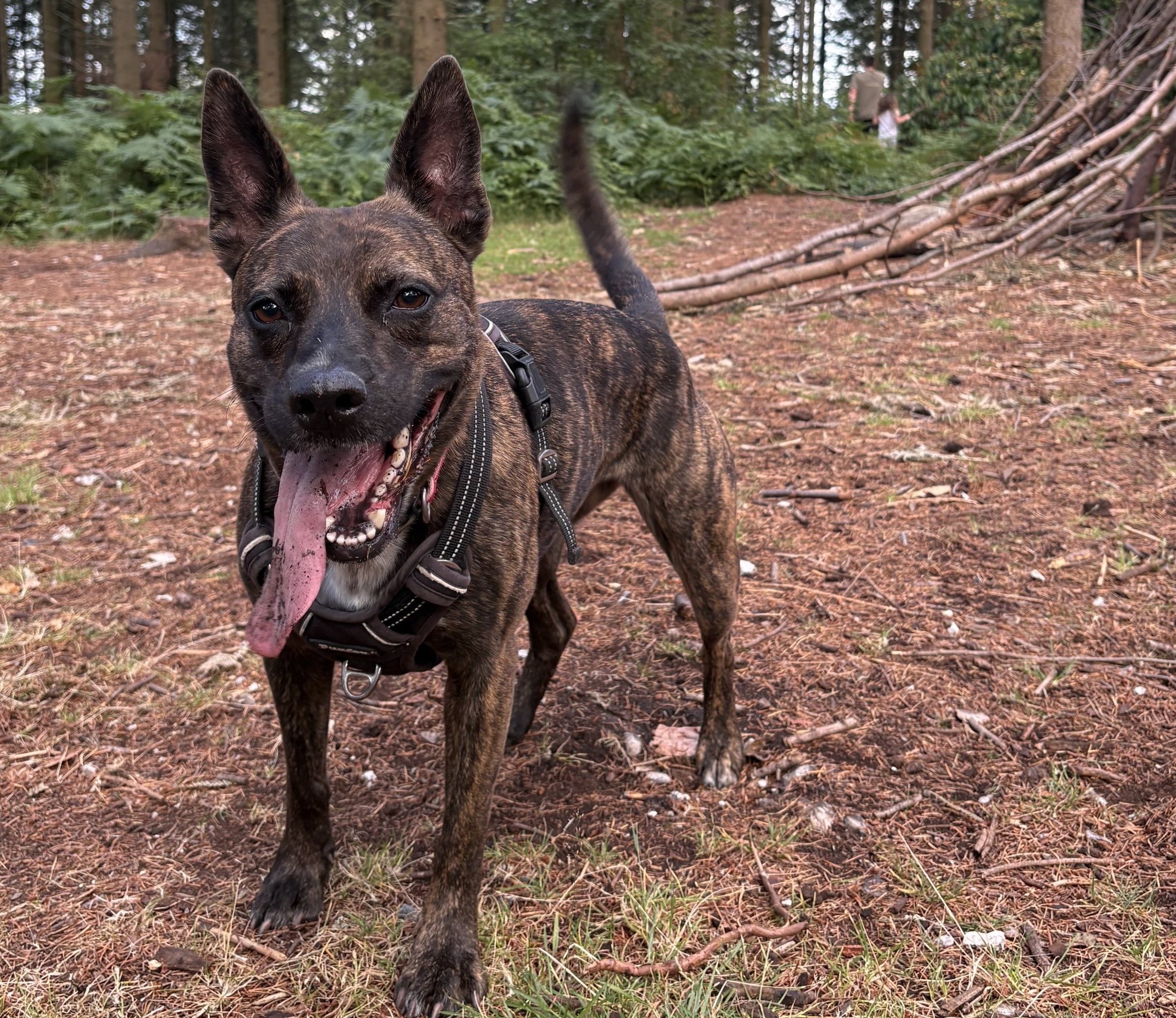 Luna