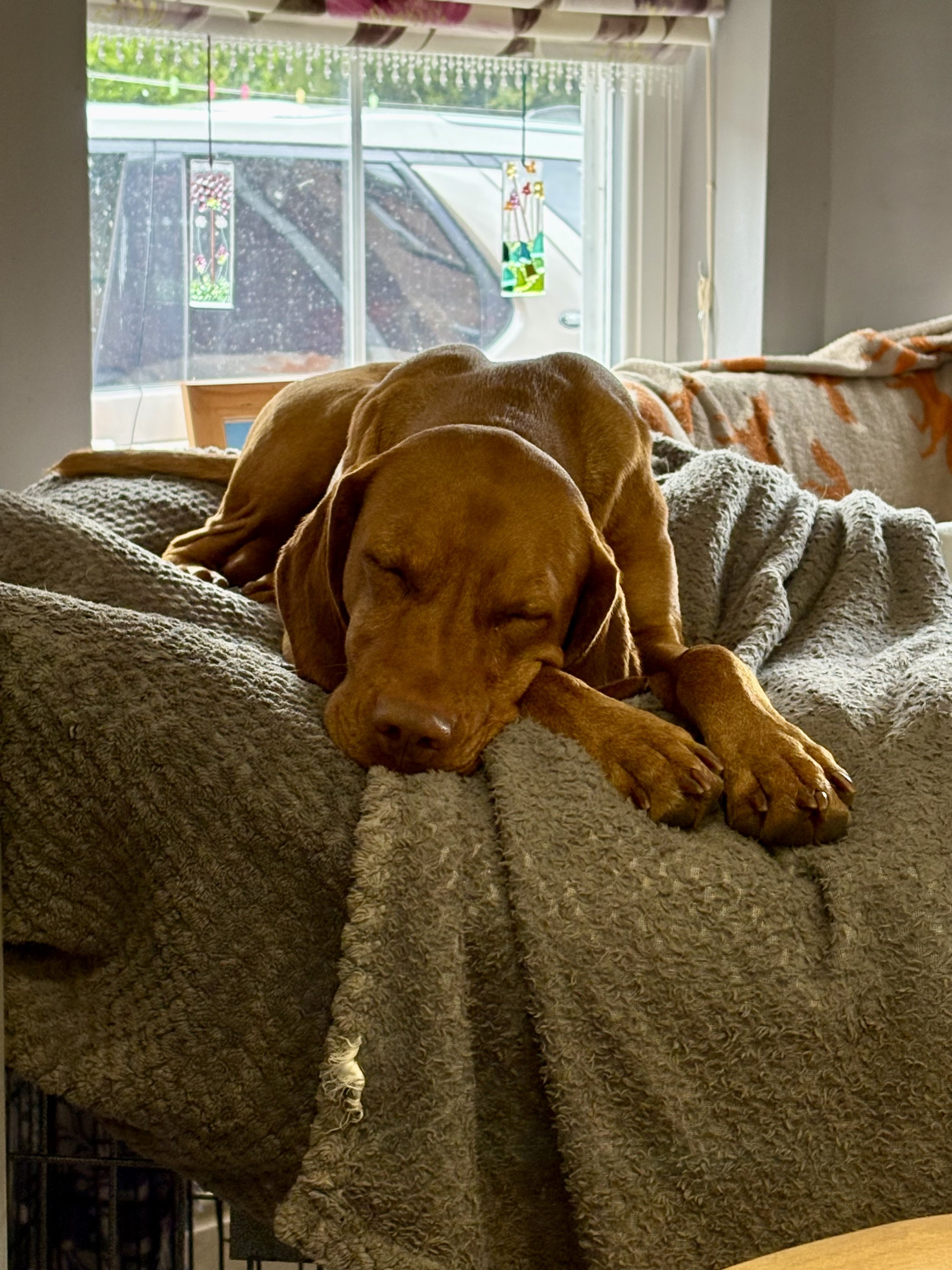 Walter