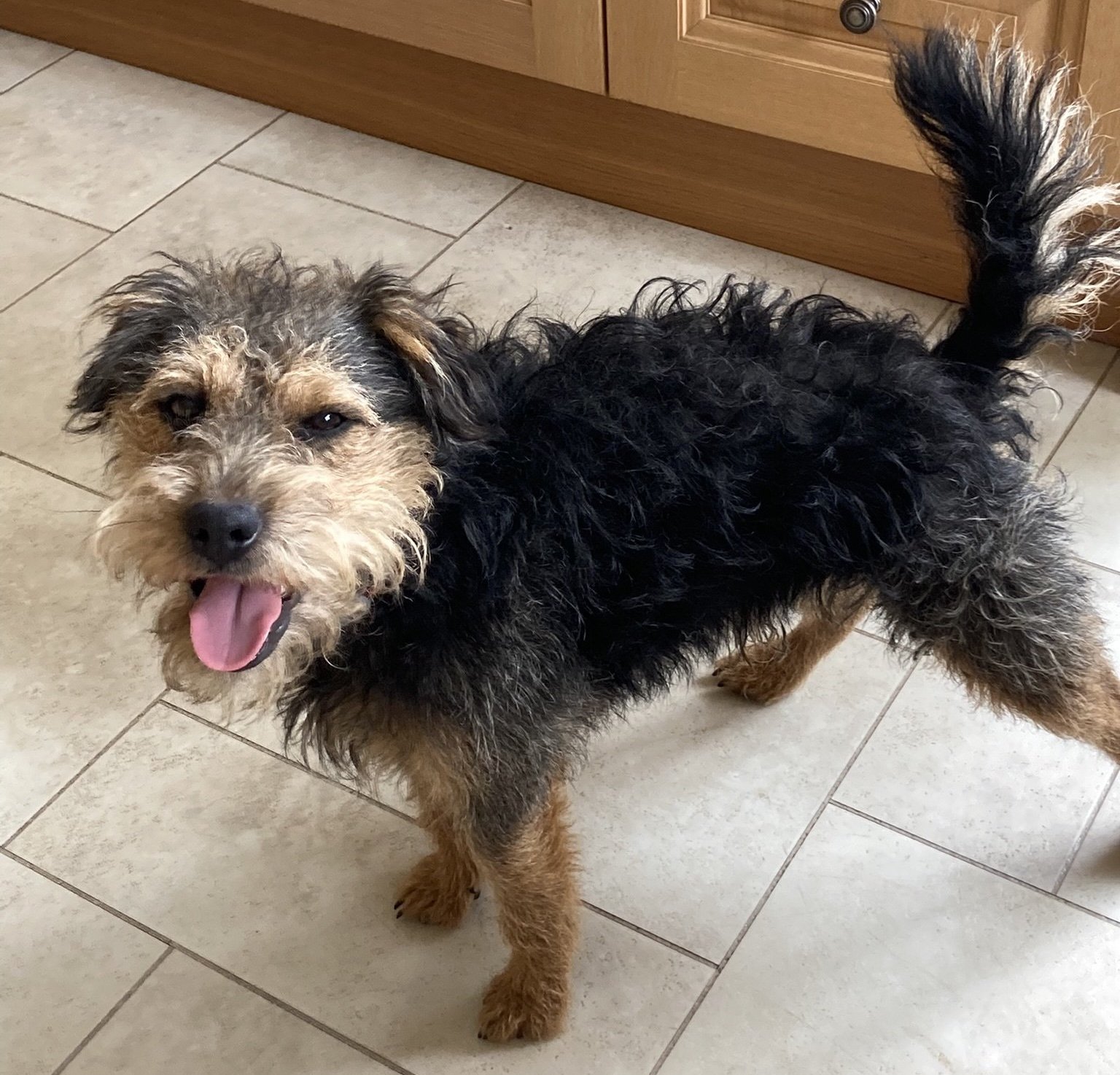 Hamish