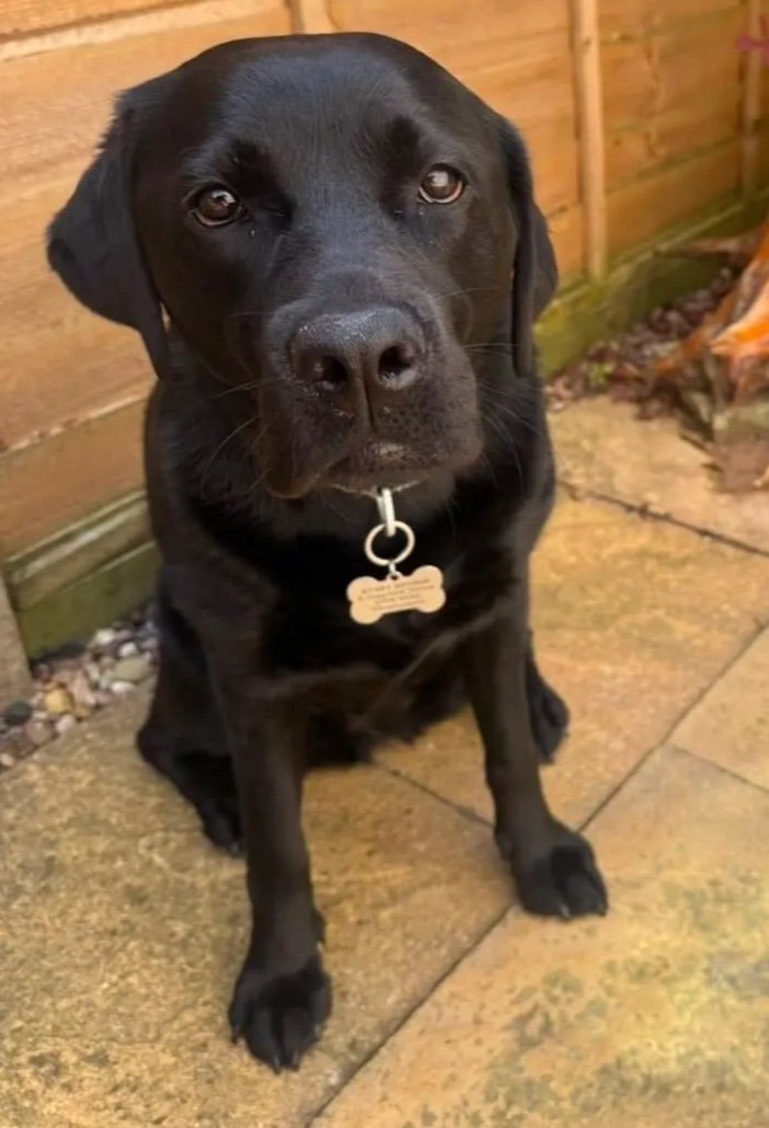 Bella