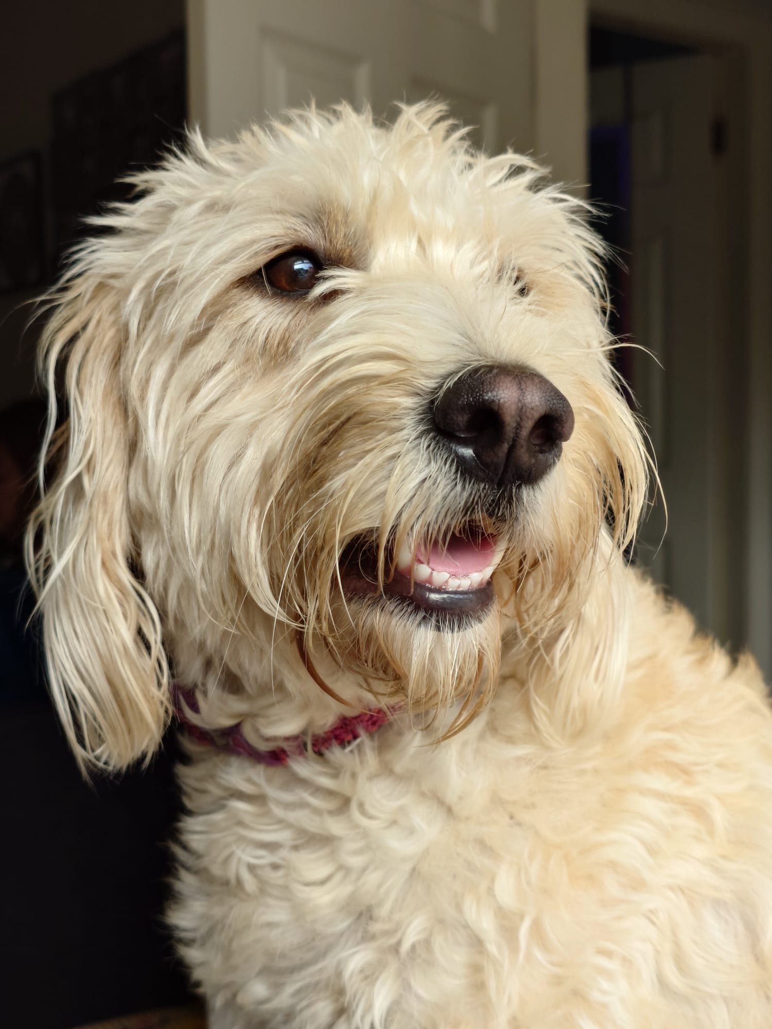 Ruby