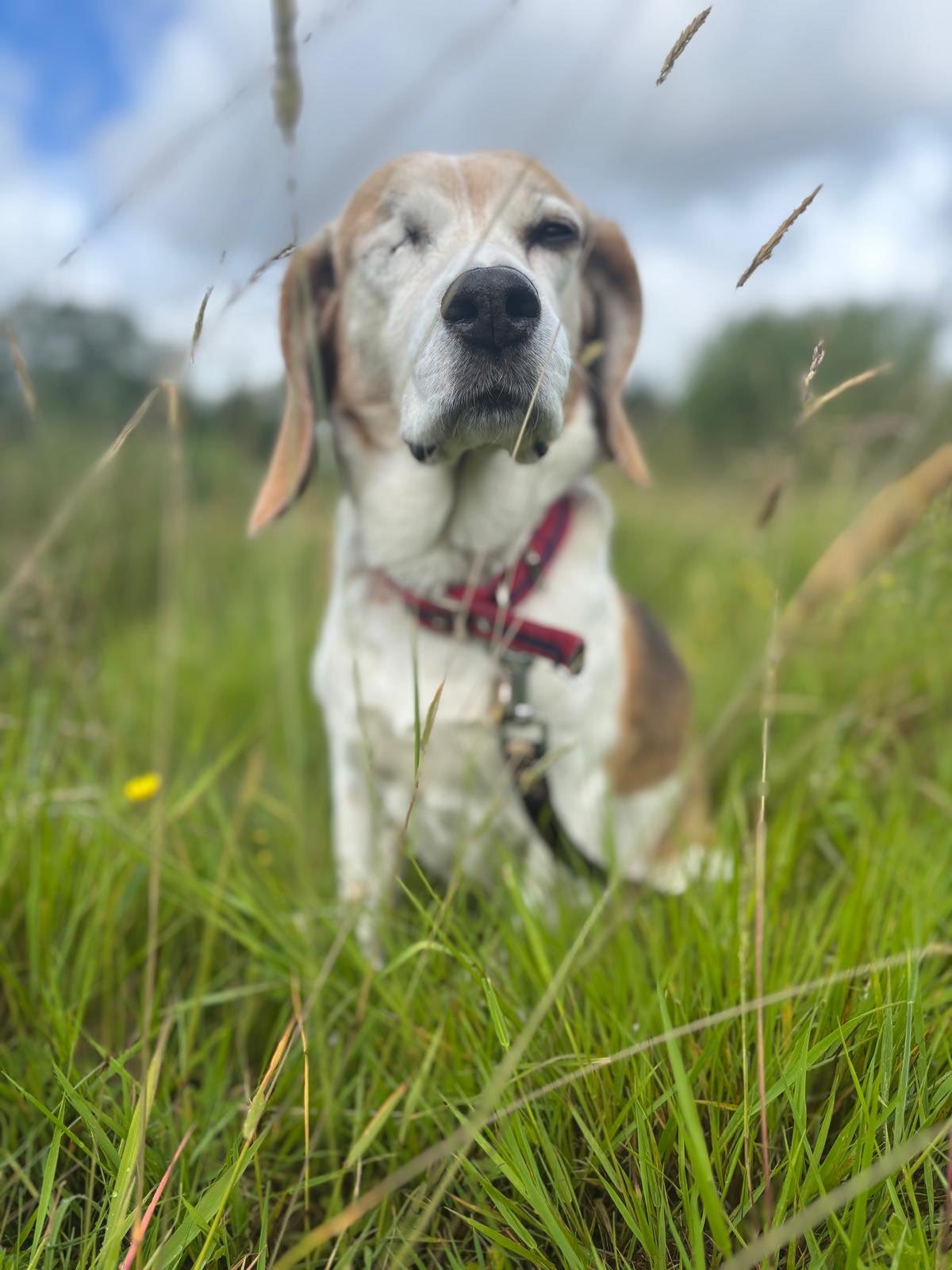 Coco