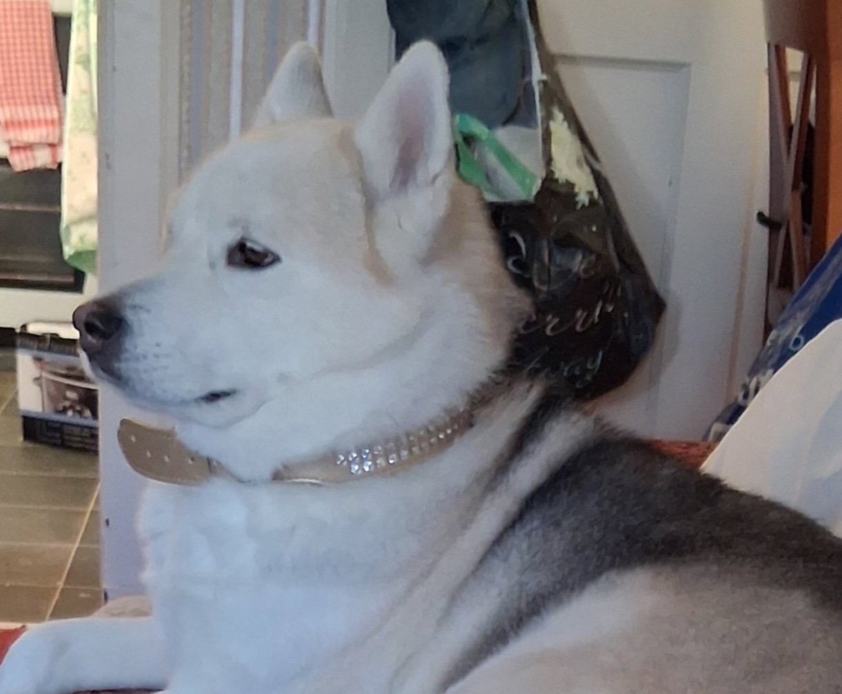 Roxy