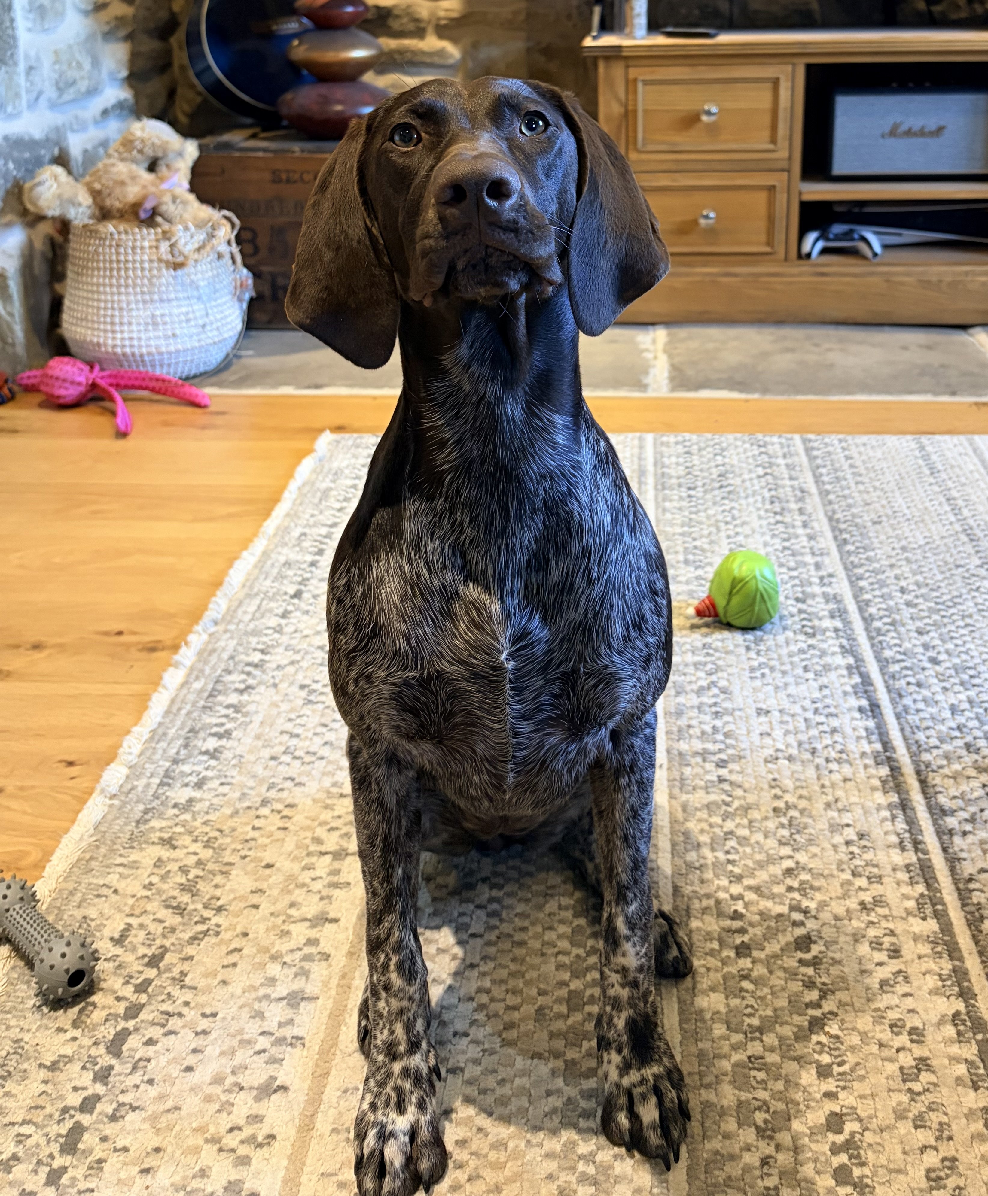 Juno