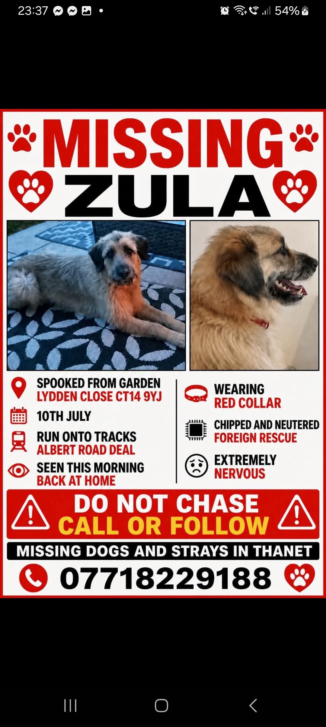 Zula
