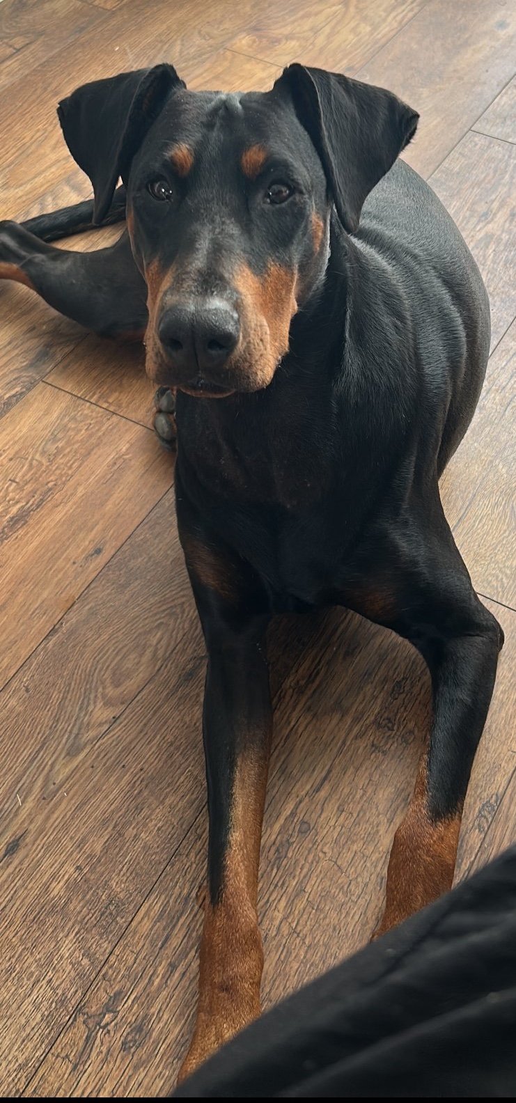 Coco